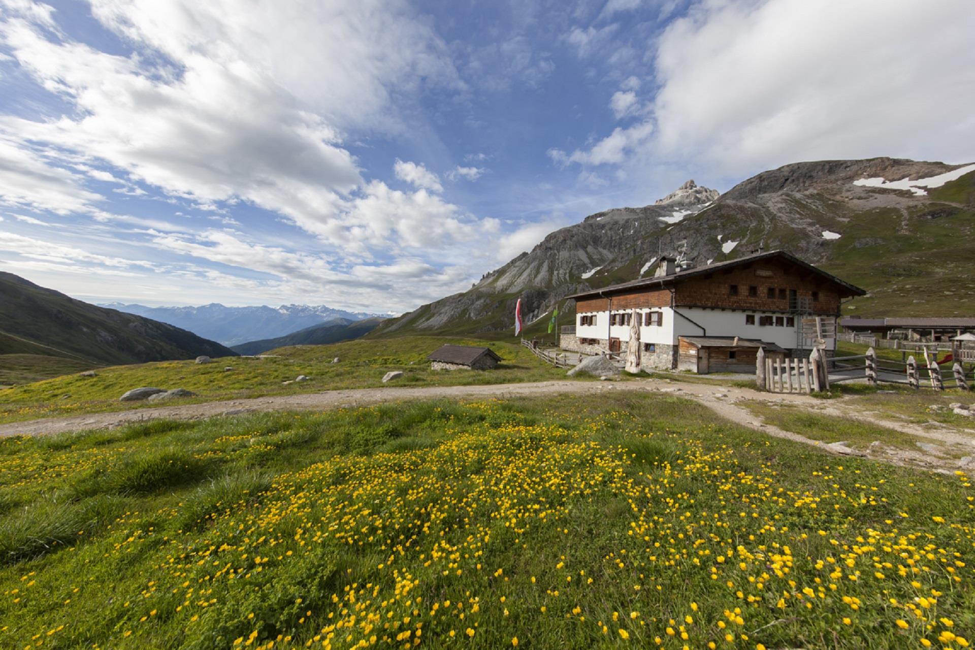 AVS Schutzhütte Sesvenna Mals/Malles 2 suedtirol.info