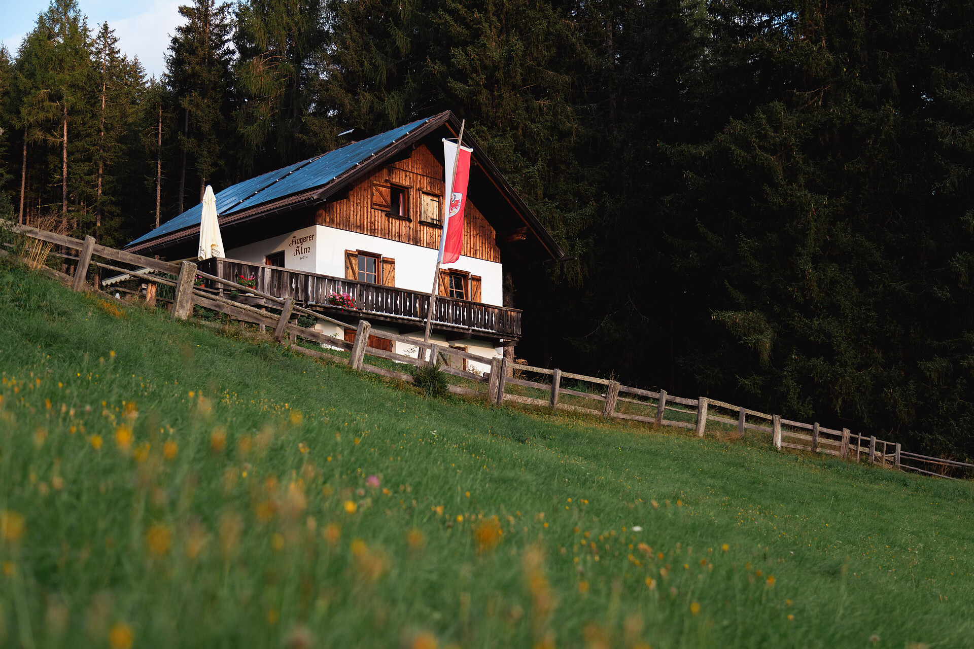 Angerer Alm - Dolomitenregion Kronplatz - #3 - suedtirol.info