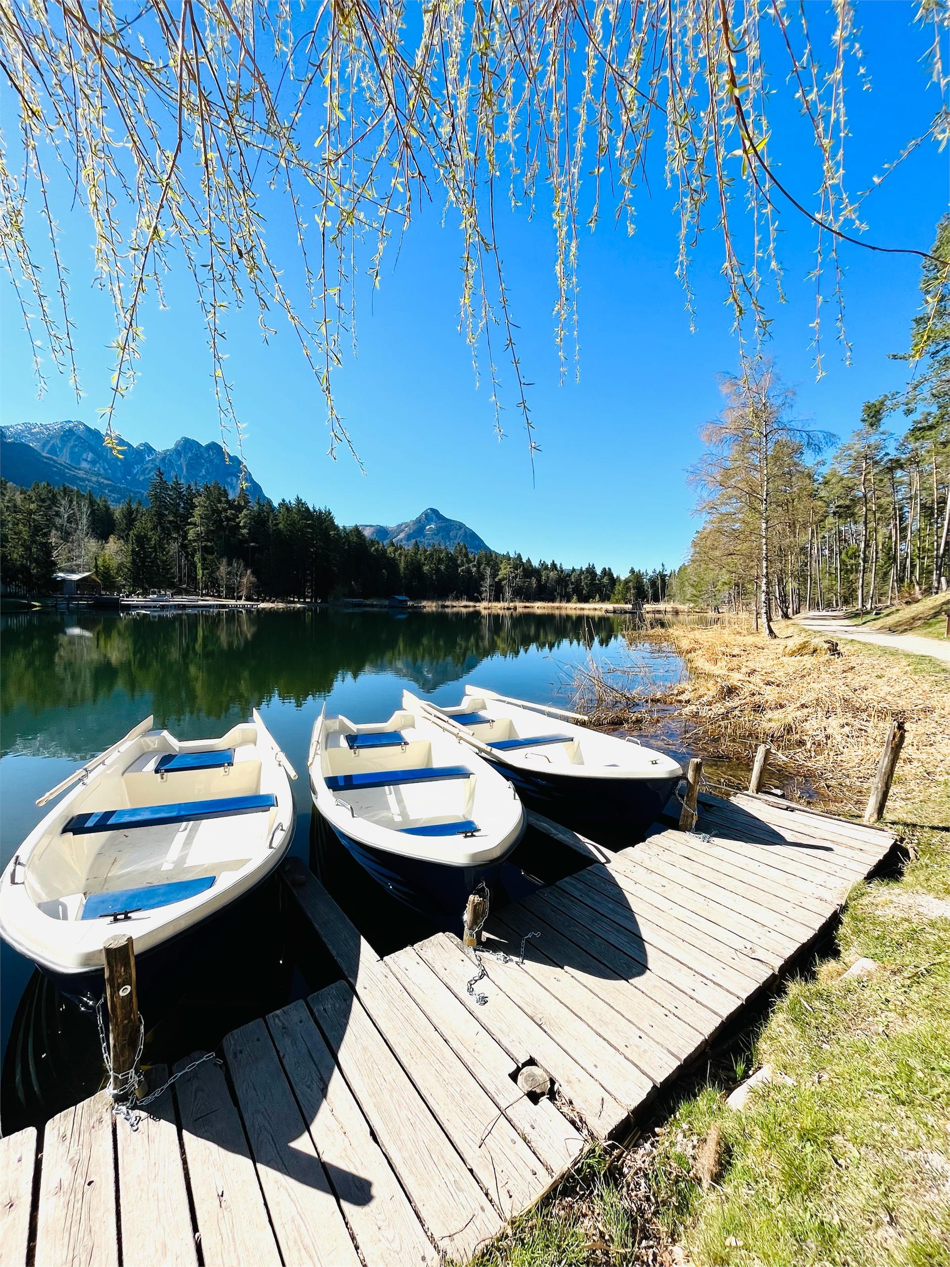 Altes Gasthaus am Weiher Völs am Schlern/Fiè allo Sciliar 4 suedtirol.info