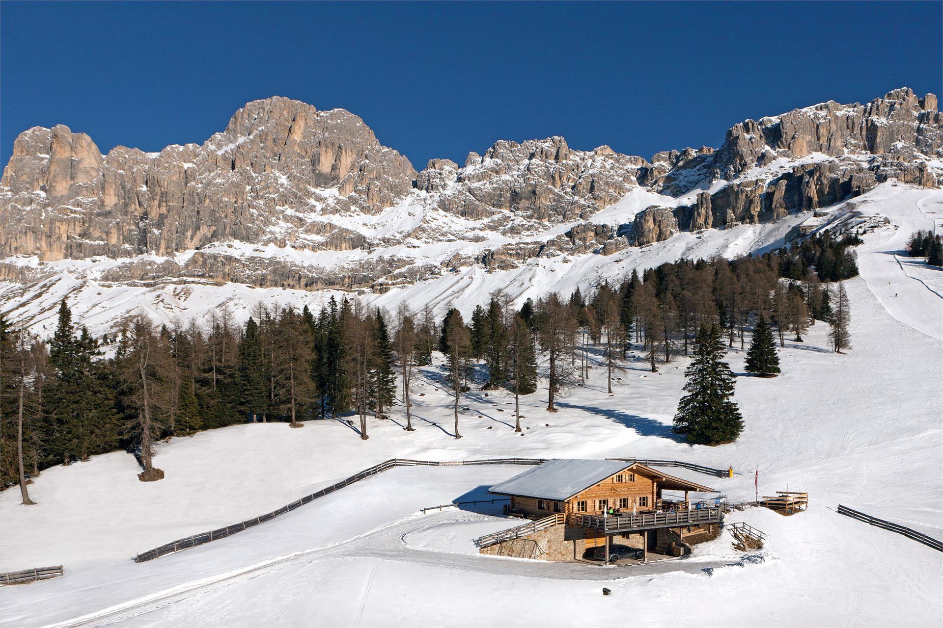 Almhütte Messnerjoch Welschnofen/Nova Levante 2 suedtirol.info