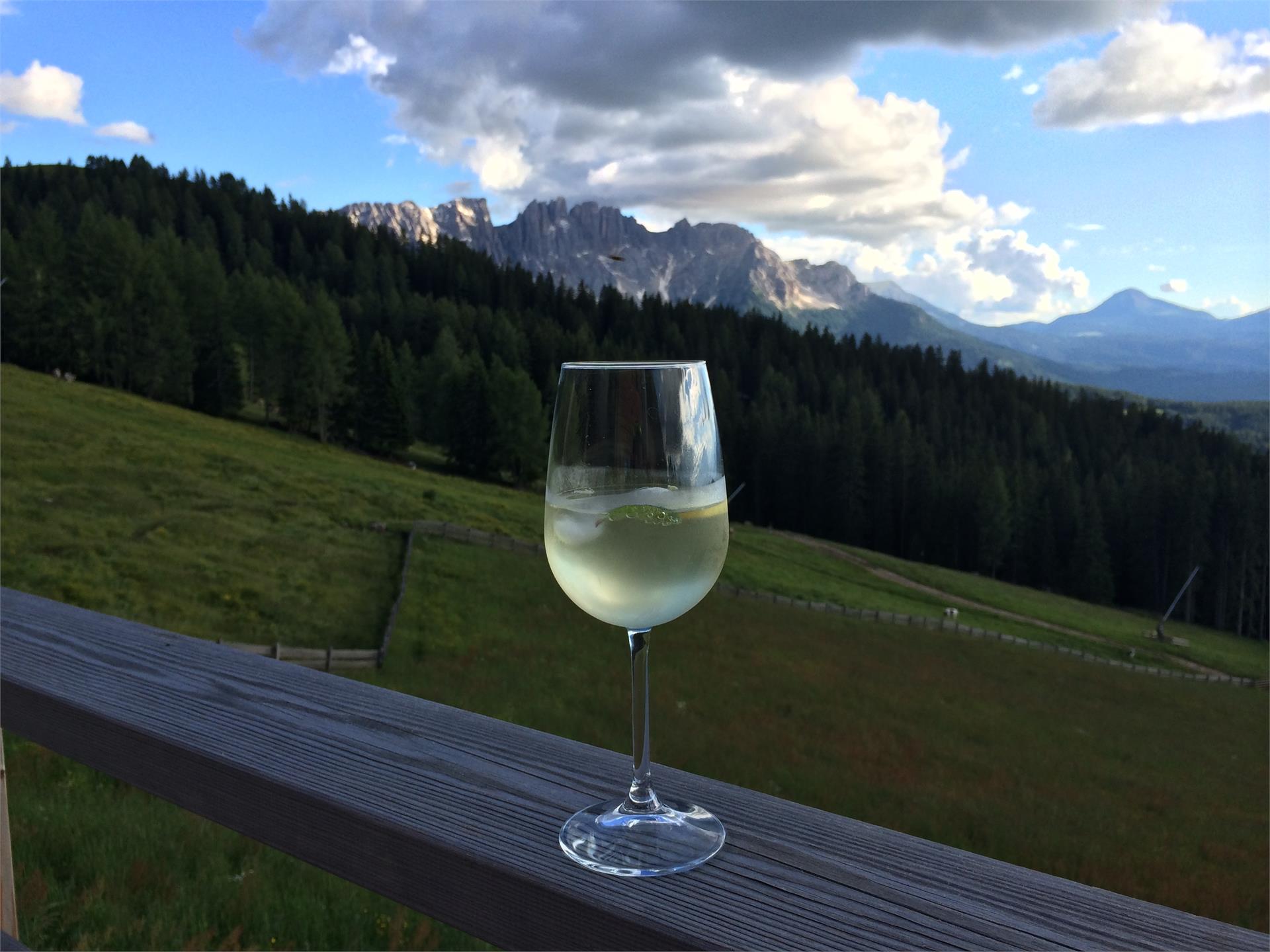 Almhütte Messnerjoch Welschnofen/Nova Levante 6 suedtirol.info