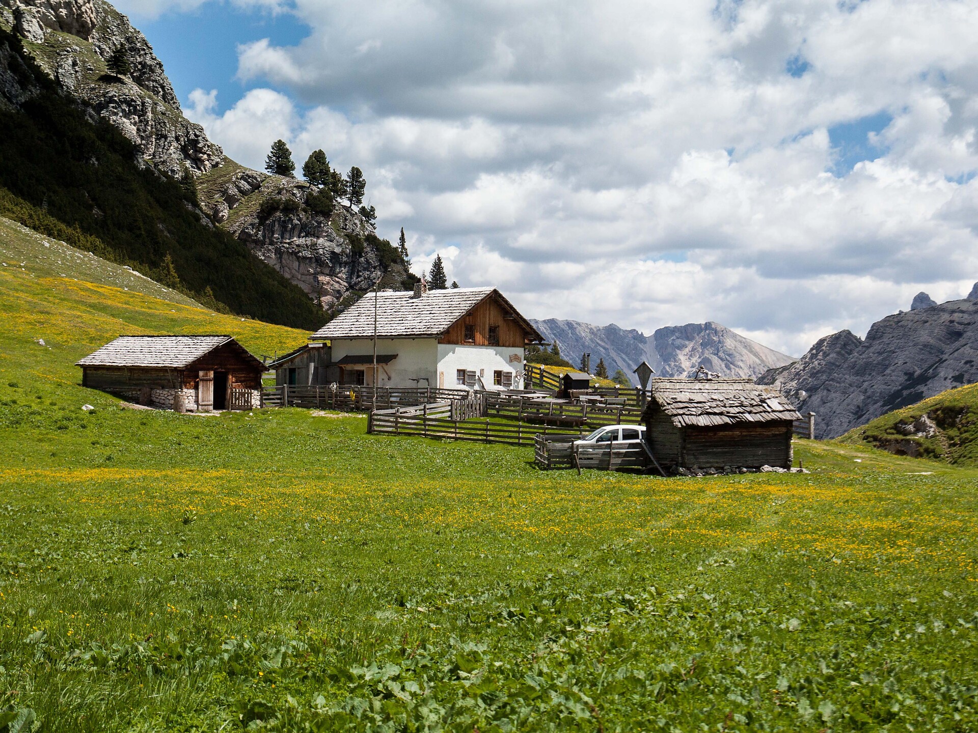 Malga di Fojedöra - Regione dolomitica Plan de Corones - #1 - suedtirol.info