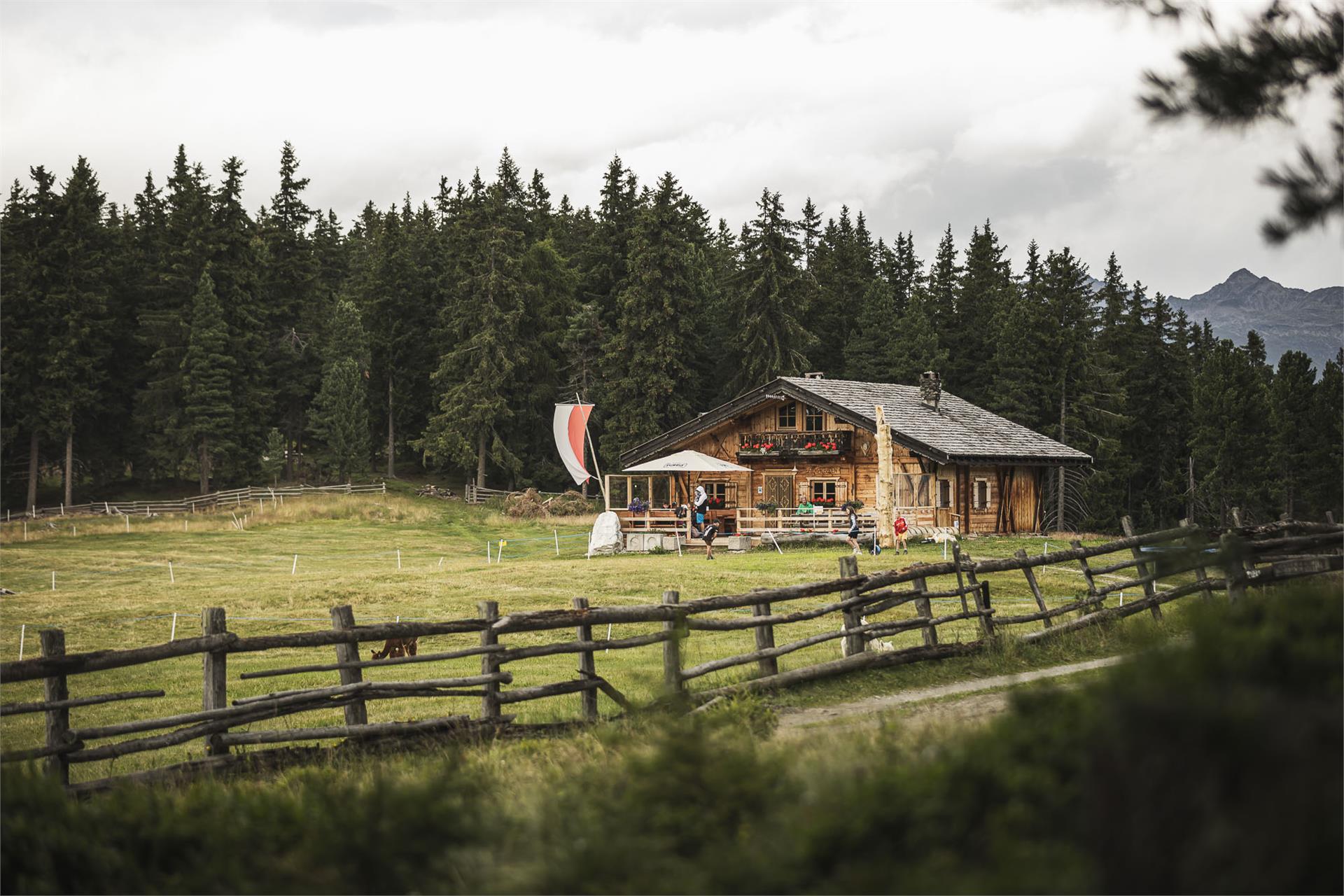 Malga Ackerboden Bressanone 3 suedtirol.info