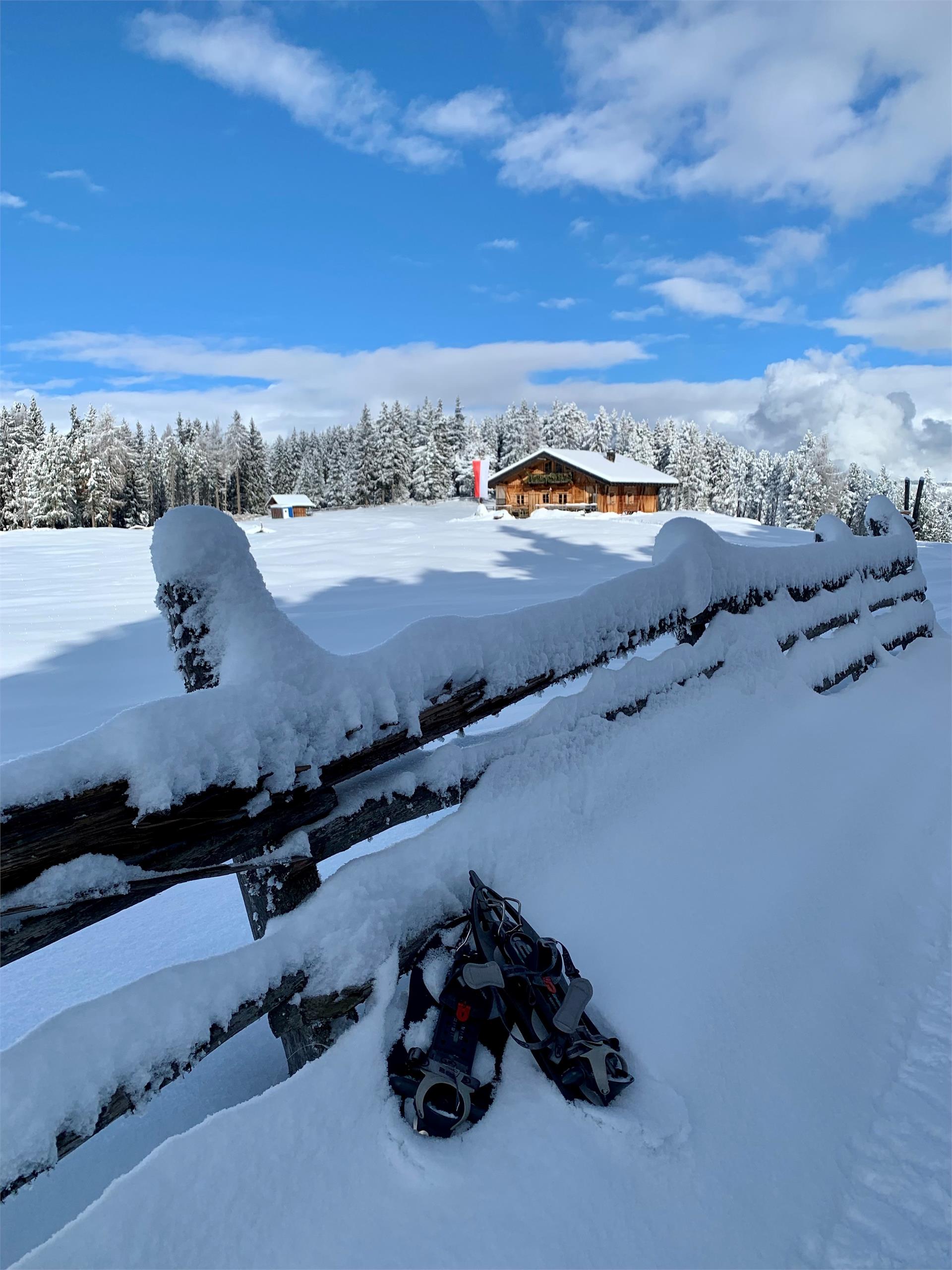 Malga Ackerboden Bressanone 8 suedtirol.info