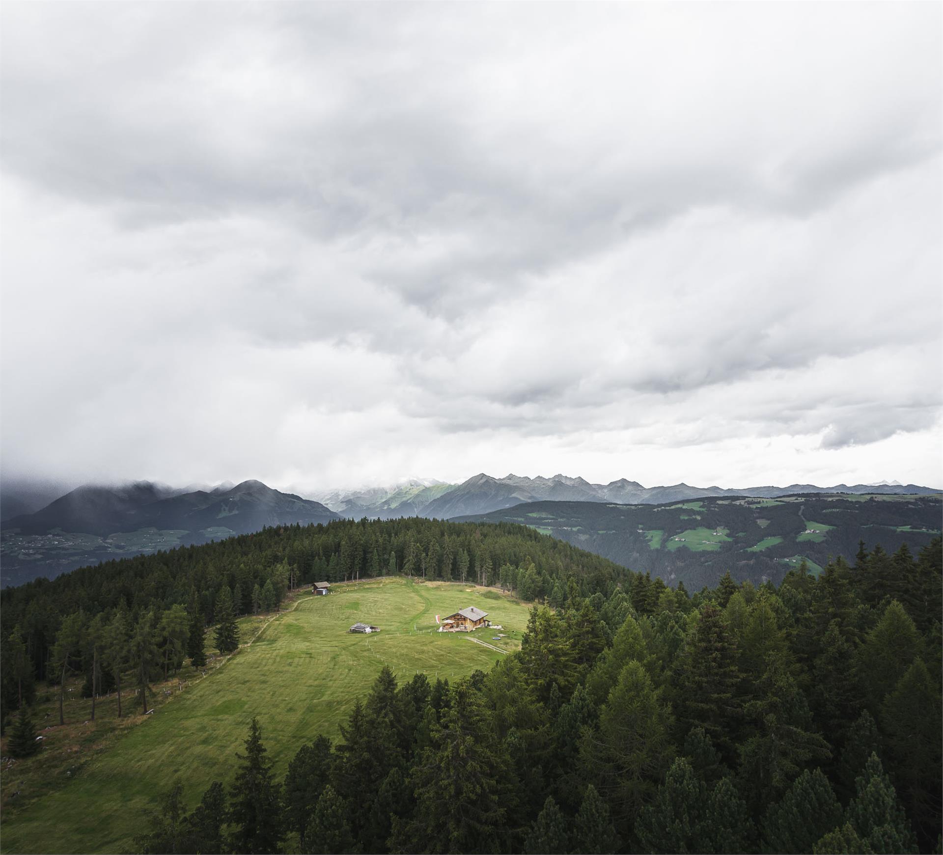 Malga Ackerboden Bressanone 5 suedtirol.info