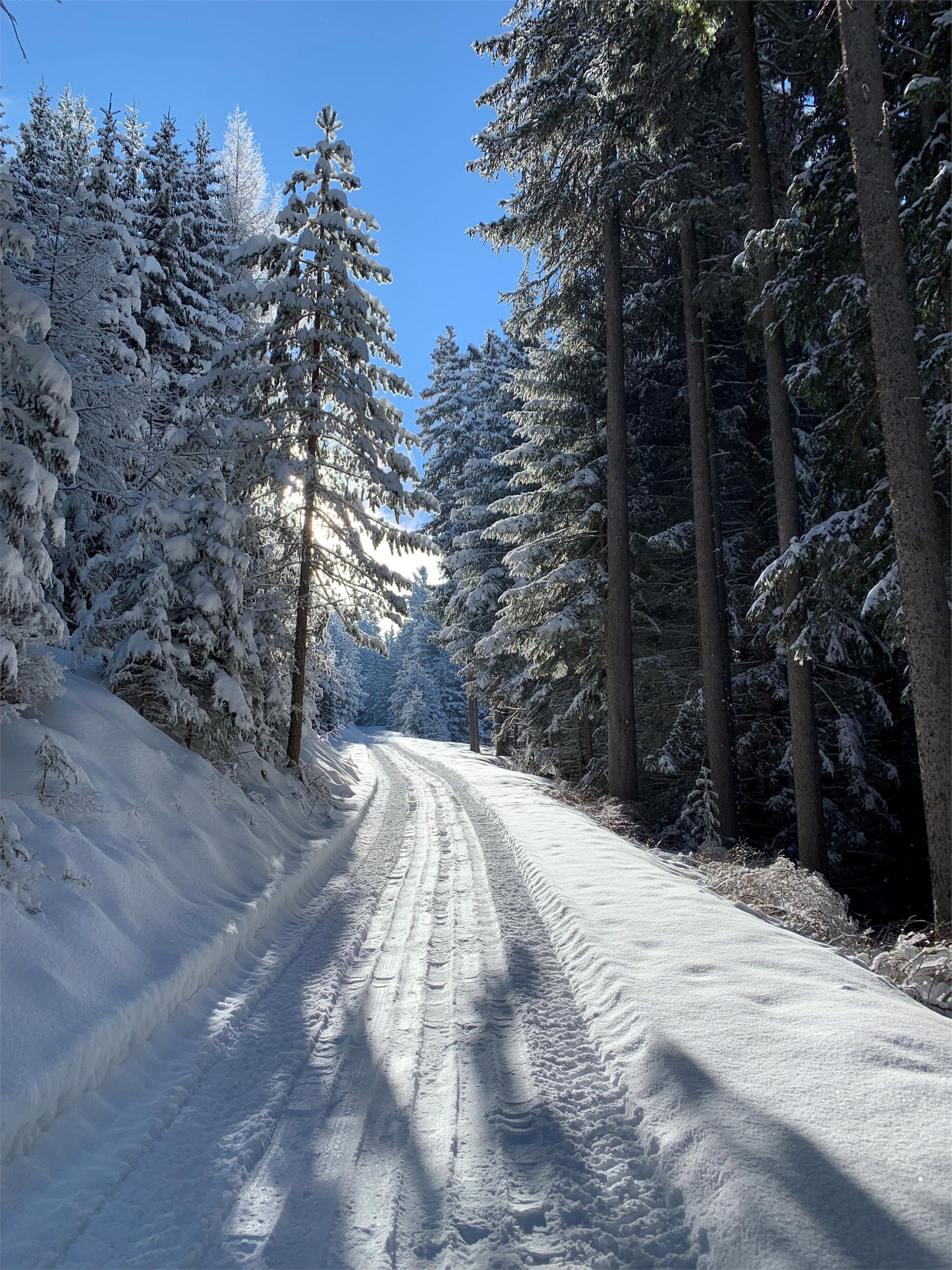 Malga Ackerboden Bressanone 9 suedtirol.info