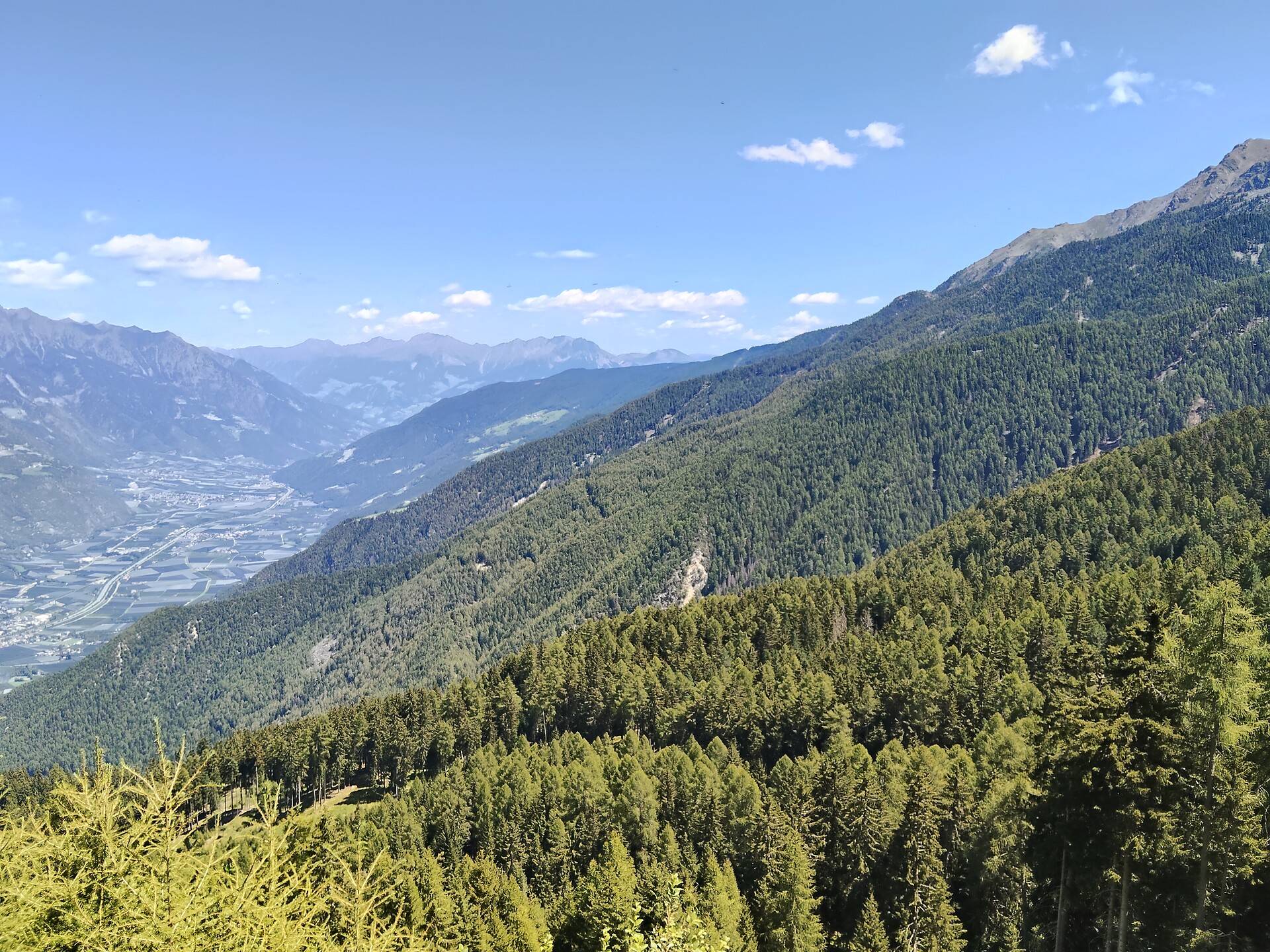 Malga Alt Alm - Val Venosta - #5 - suedtirol.info