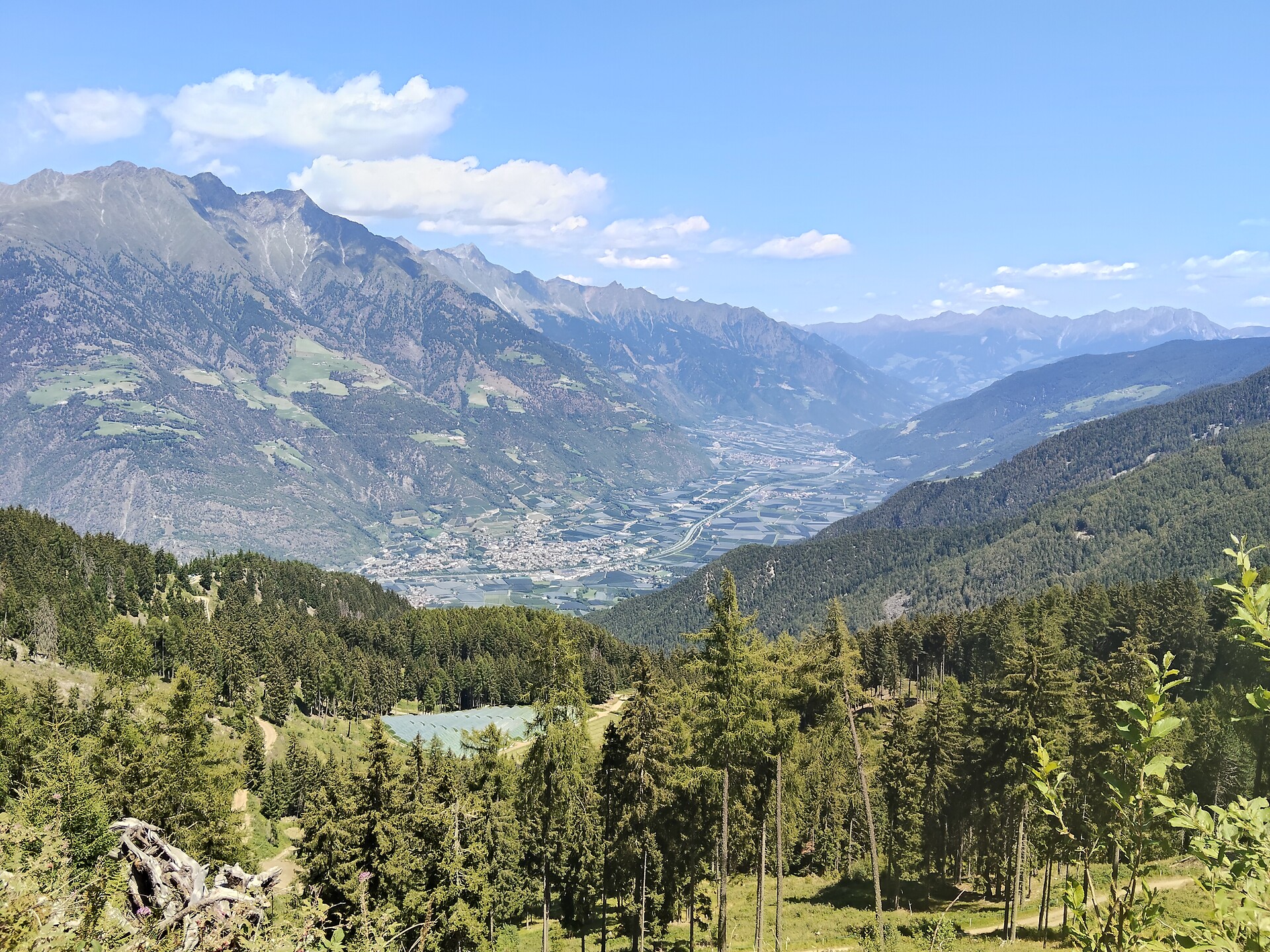 Malga Alt Alm - Val Venosta - #2 - suedtirol.info