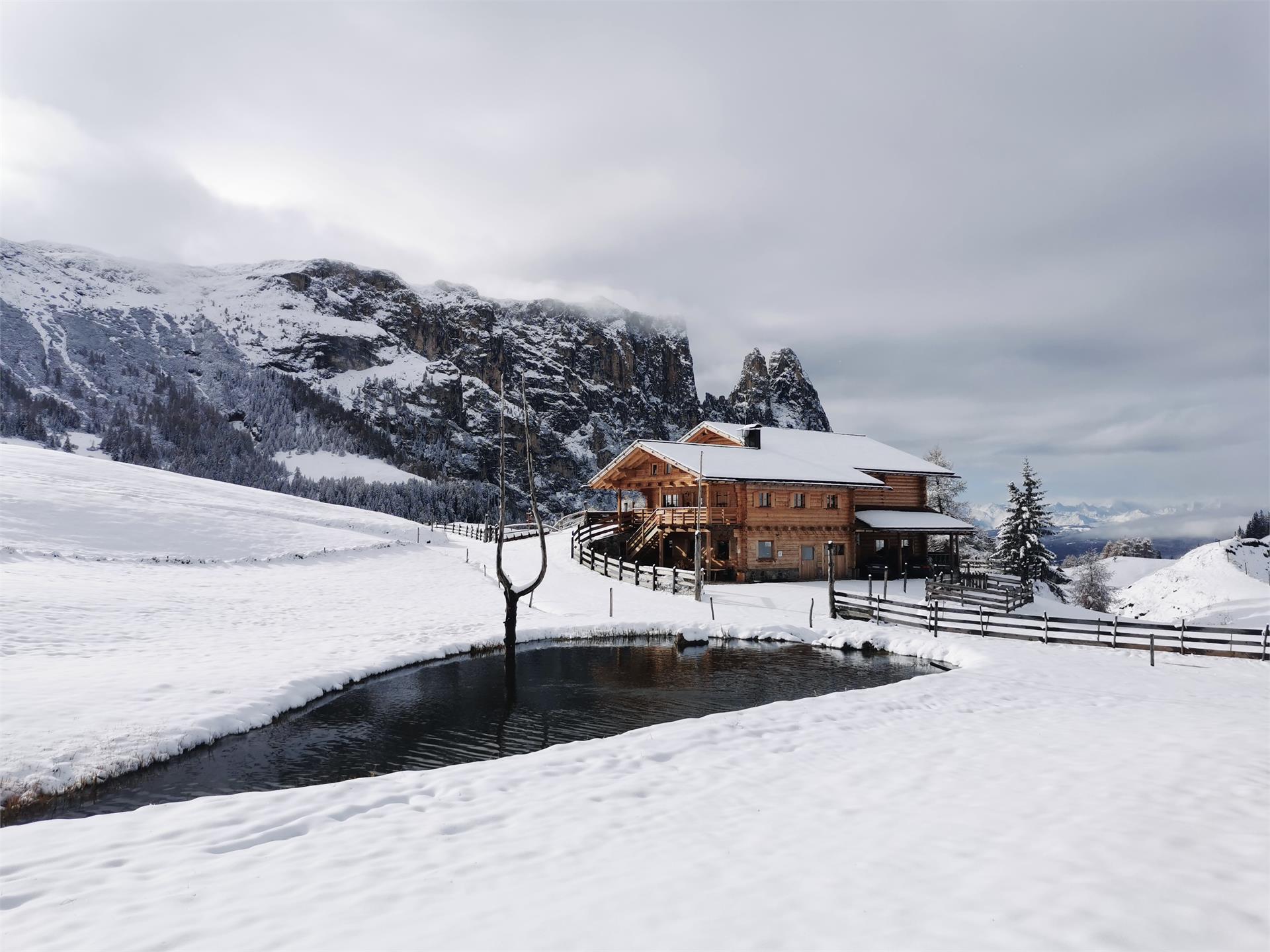 Malga Gstatsch Castelrotto 19 suedtirol.info