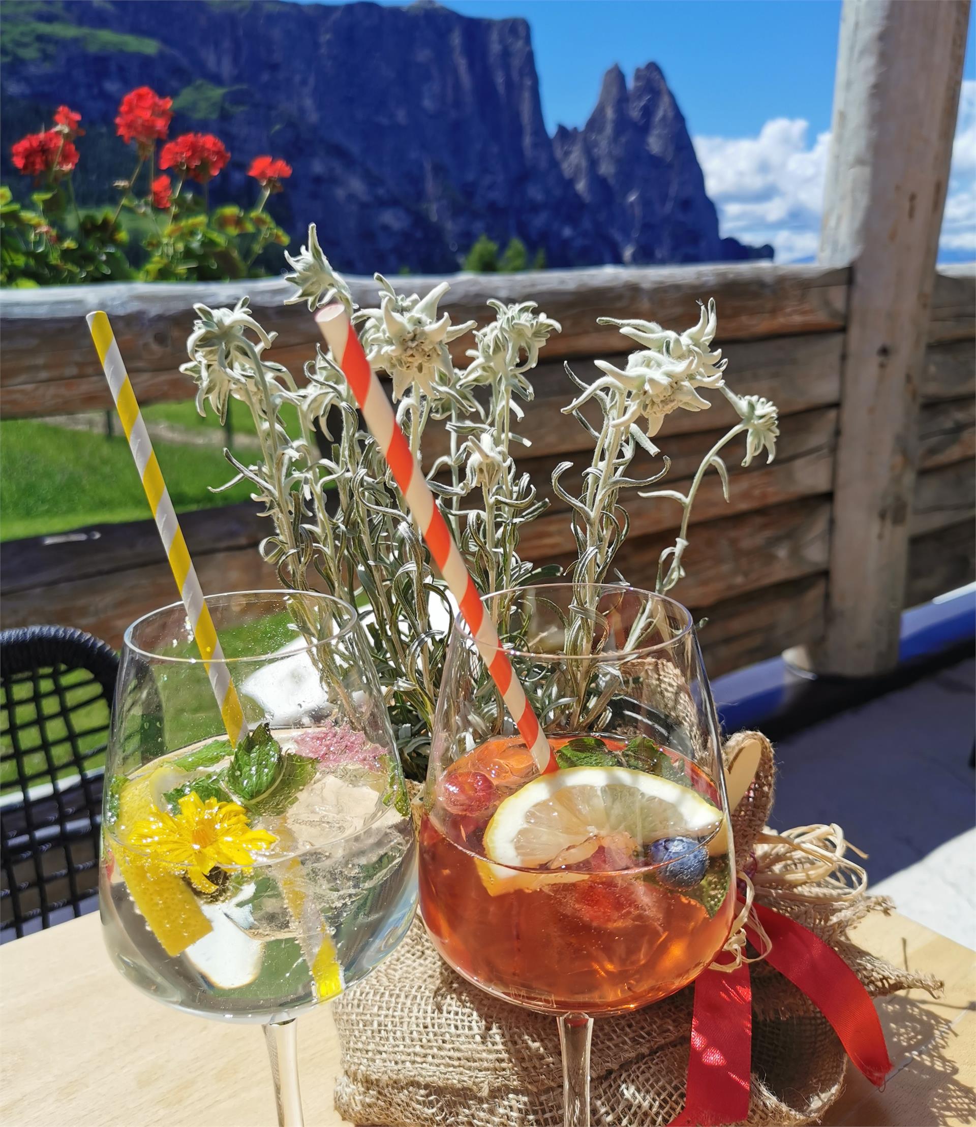 Malga Gstatsch Castelrotto 18 suedtirol.info