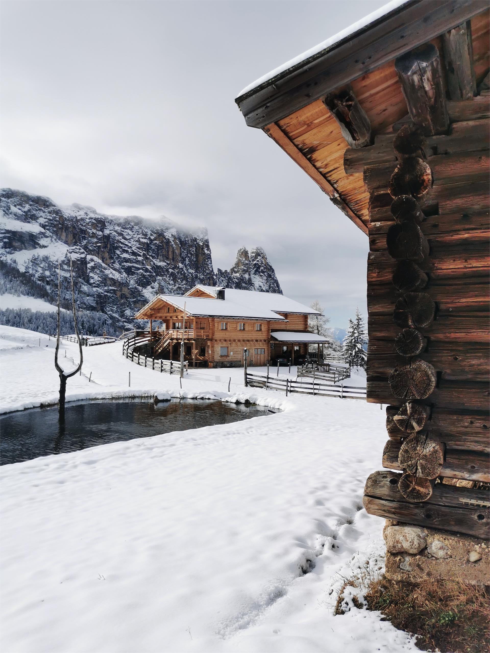 Malga Gstatsch Castelrotto 3 suedtirol.info