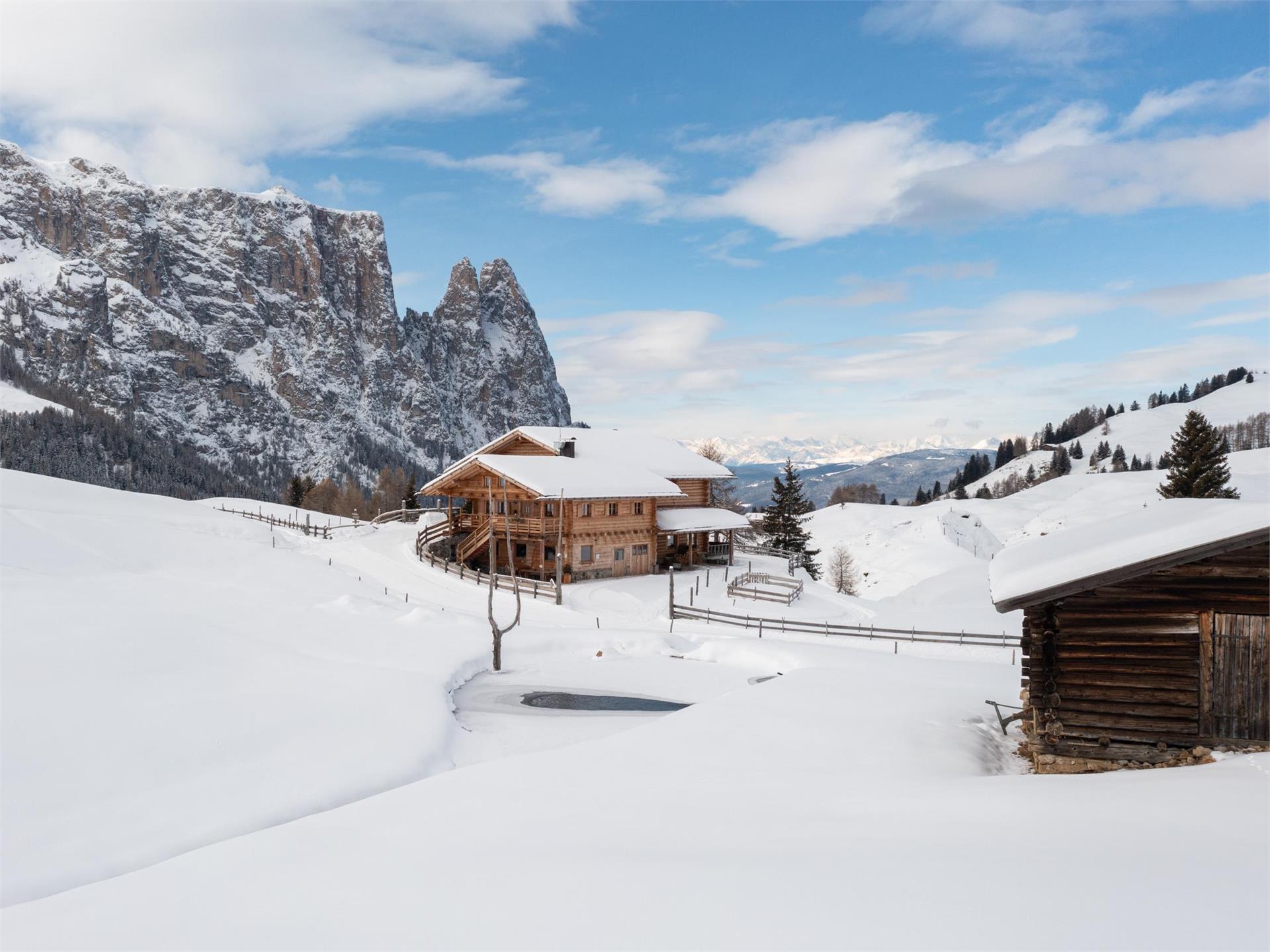 Malga Gstatsch Castelrotto 2 suedtirol.info