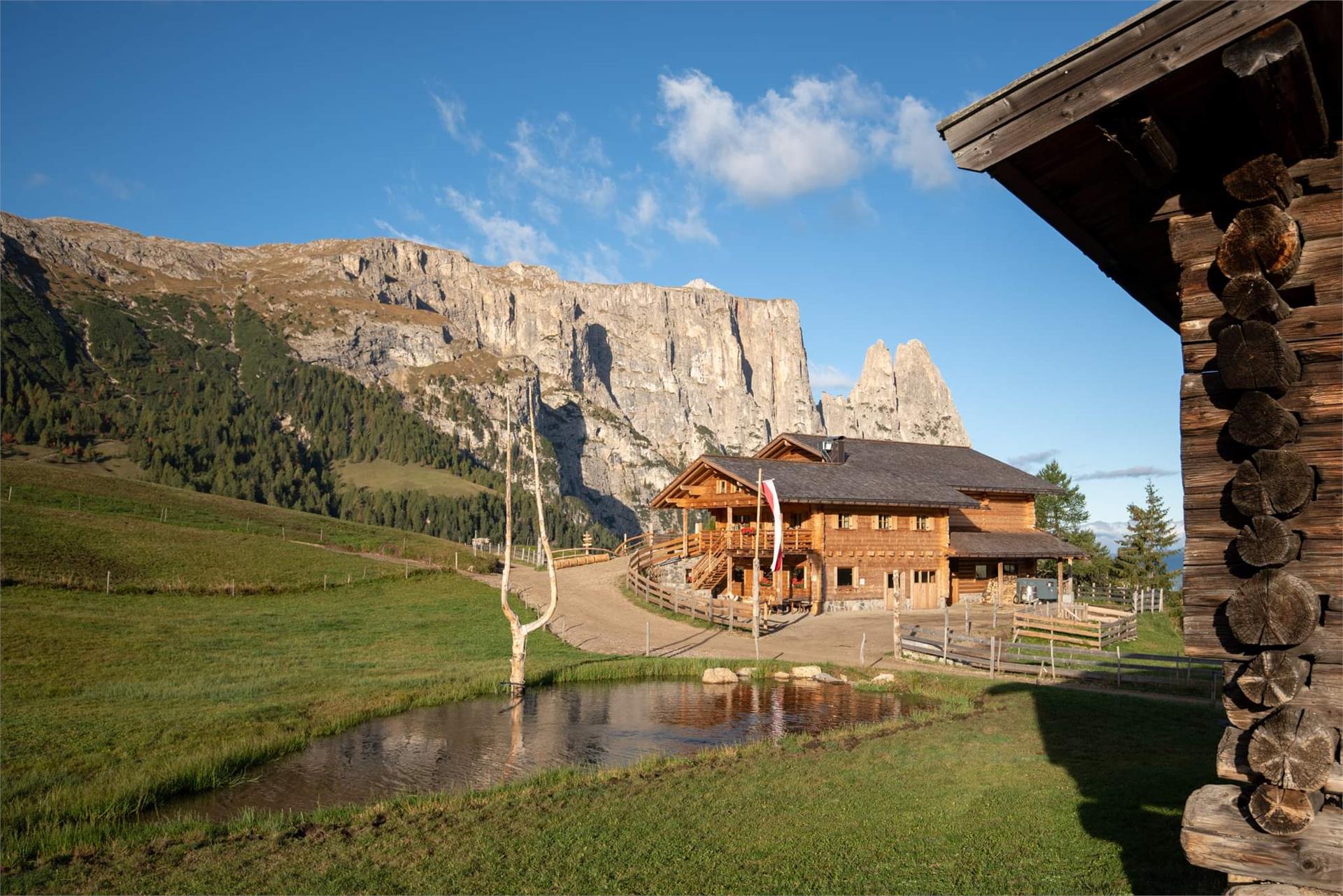 Malga Gstatsch Castelrotto 1 suedtirol.info