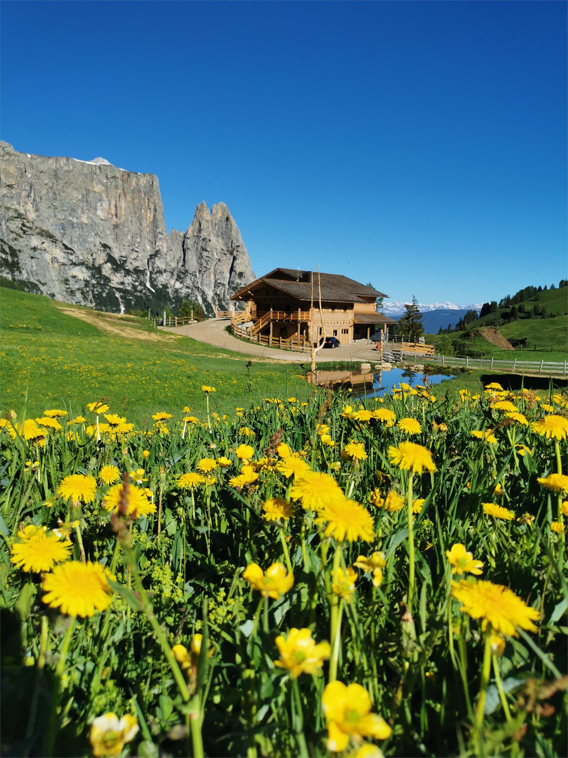 Malga Gstatsch Castelrotto 12 suedtirol.info