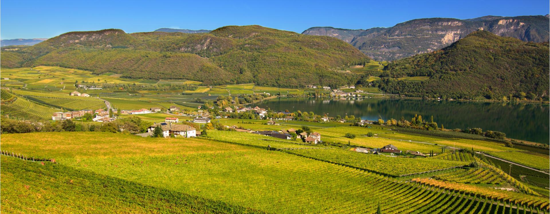 Baron di Pauli Kaltern an der Weinstraße/Caldaro sulla Strada del Vino 1 suedtirol.info