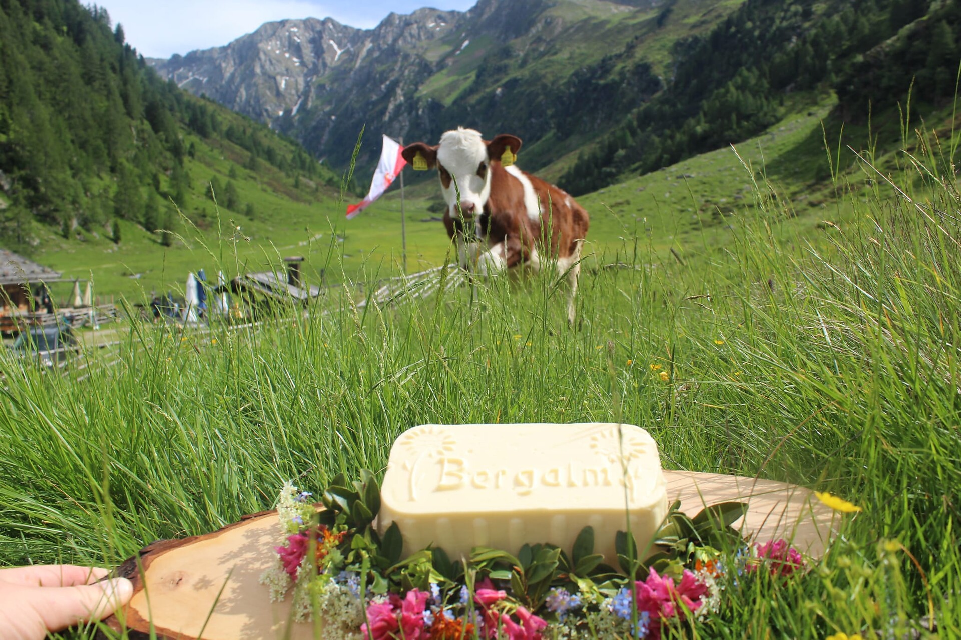 Bergalm Ratschings 4 suedtirol.info