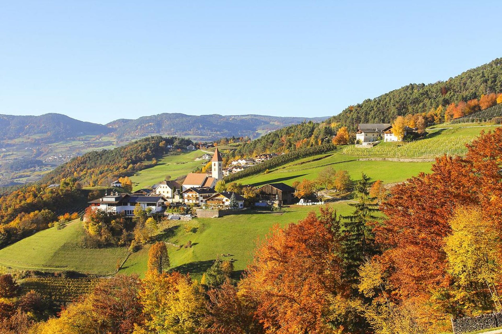 Innerperskolerhof