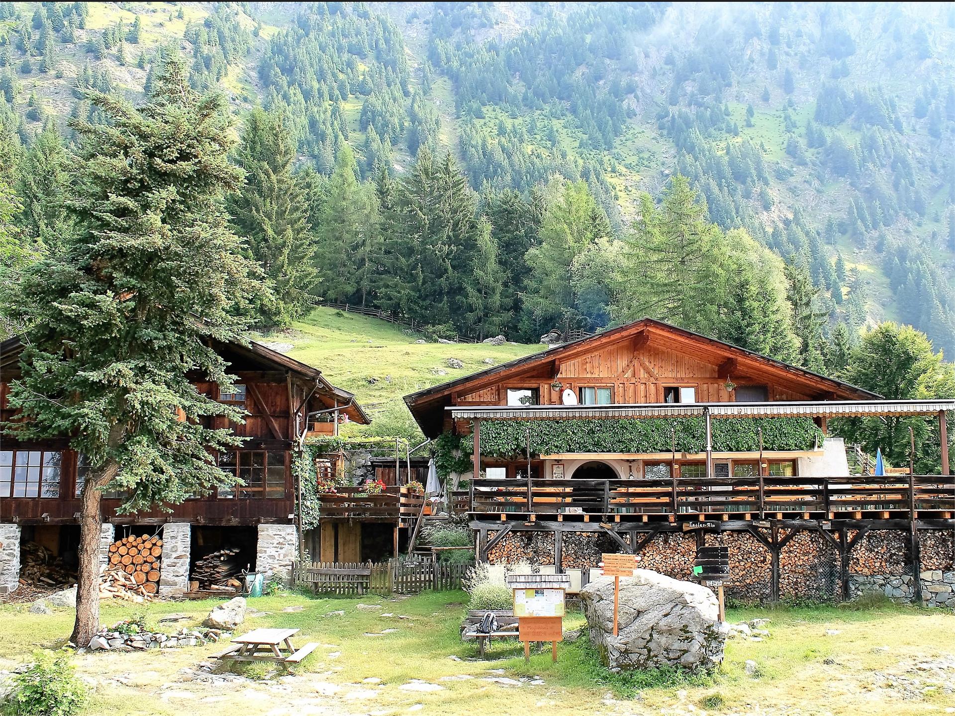 Berg-Gasthof Leiteralm-Schutzhaus Algund 1 suedtirol.info