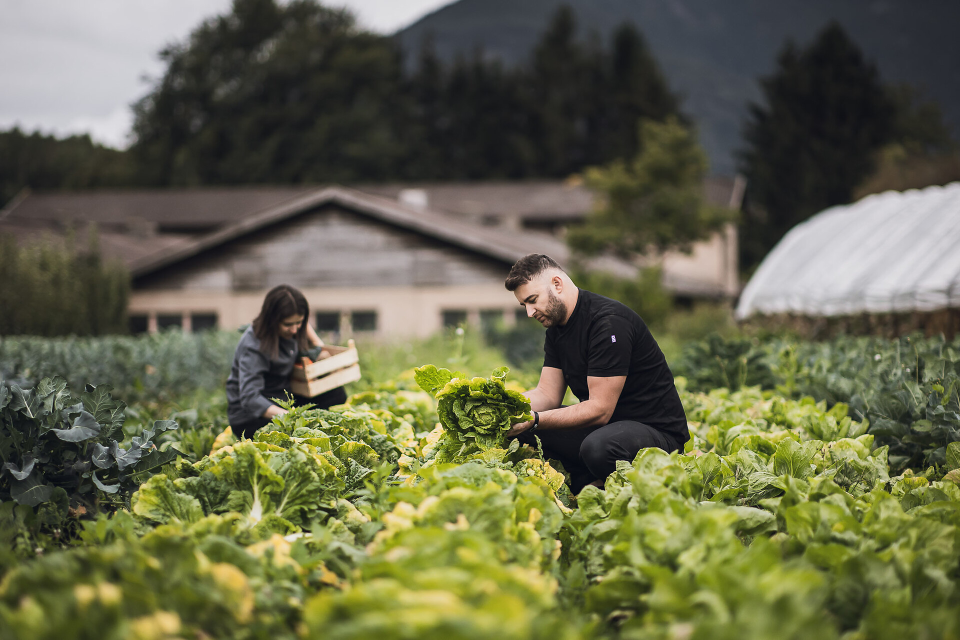 ban Kessler - Brixen und Umgebung - #2 - suedtirol.info