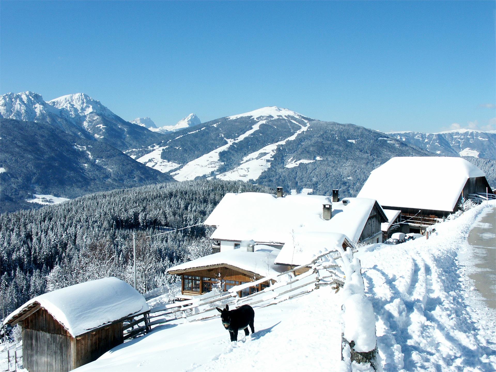 Berggasthaus mit Panoramablick Mudler Welsberg-Taisten 9 suedtirol.info