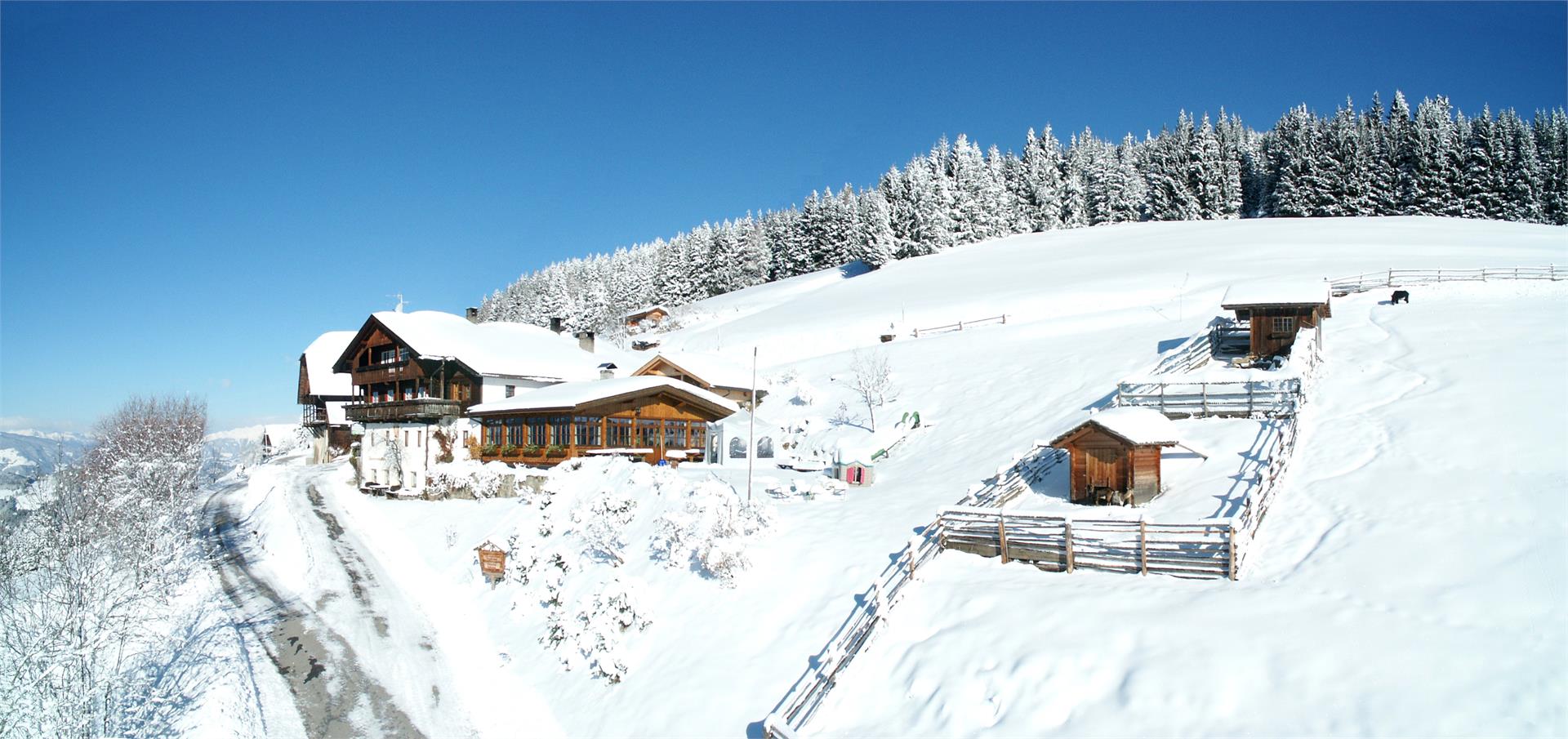 Berggasthaus mit Panoramablick Mudler Welsberg-Taisten 7 suedtirol.info