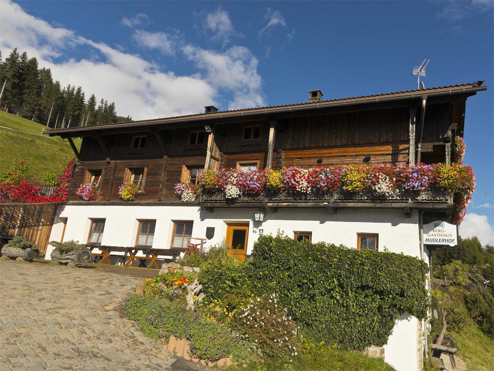 Berggasthaus mit Panoramablick Mudler Welsberg-Taisten 1 suedtirol.info