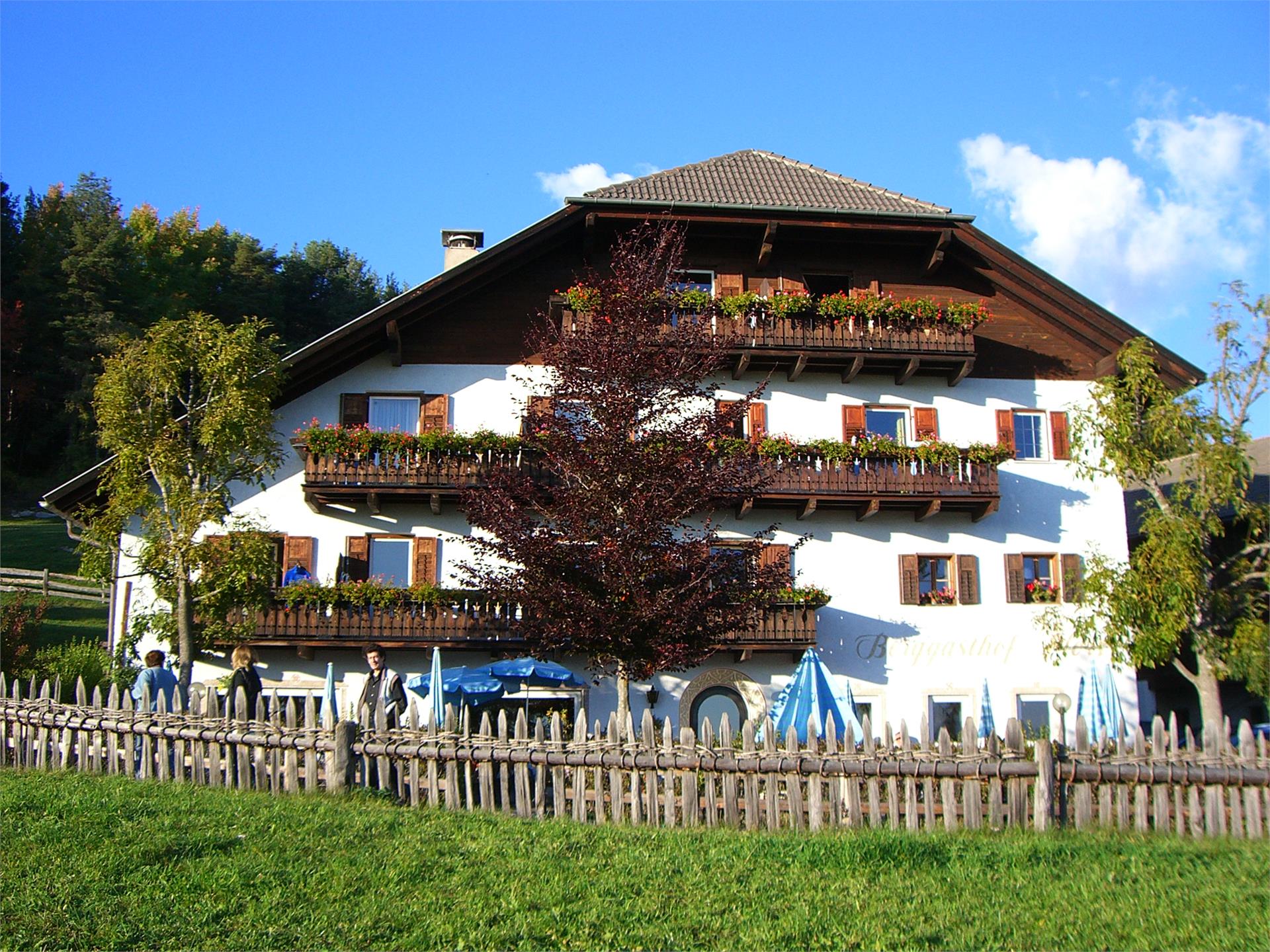 Albergo Plörr Renon 1 suedtirol.info