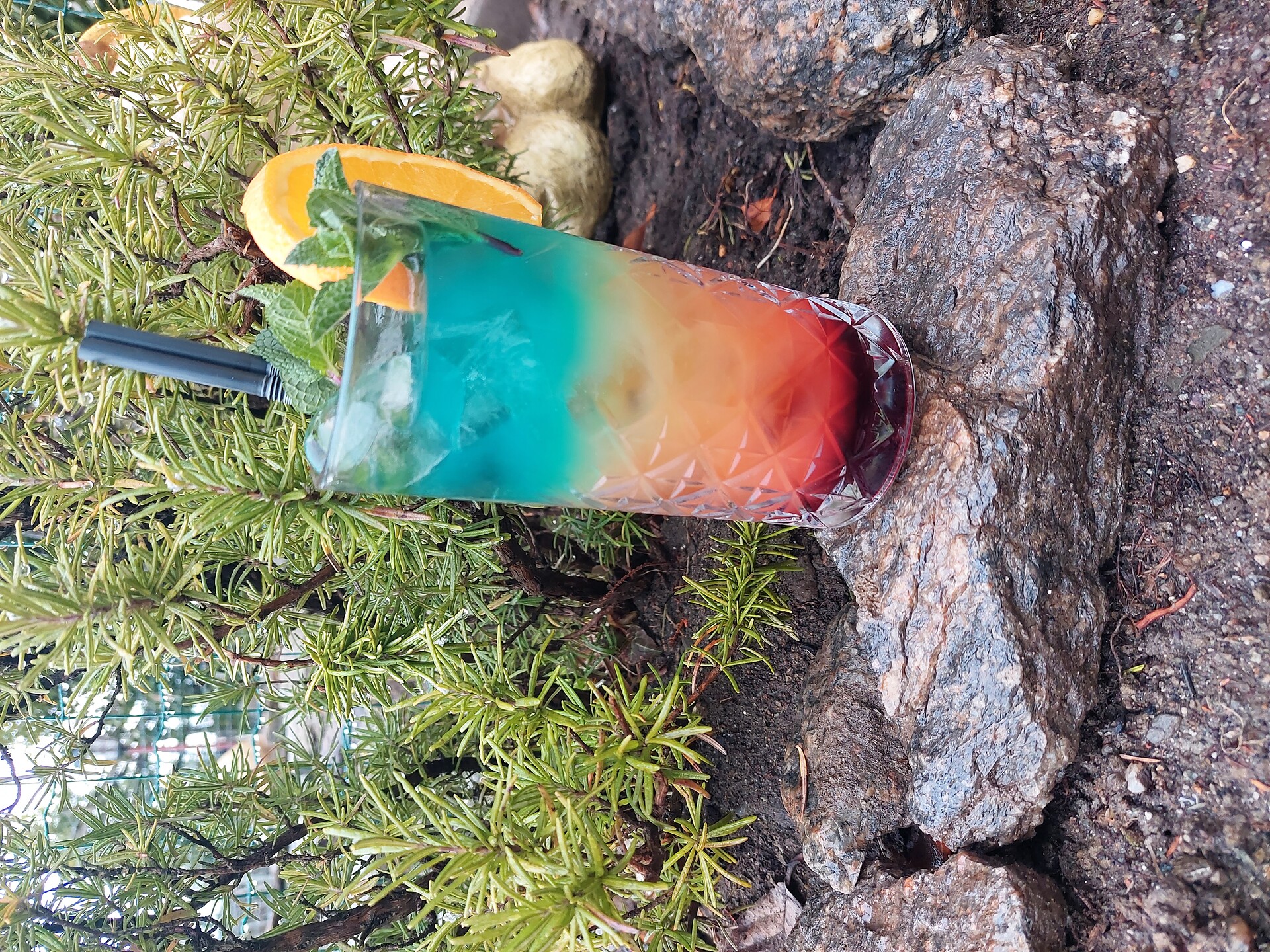 Cocktail