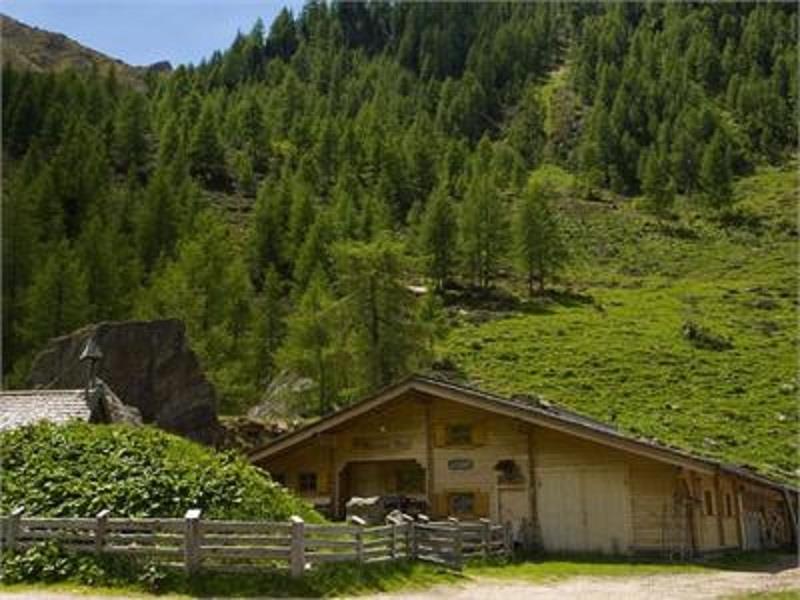 Bärentalalm malga Valle Aurina 4 suedtirol.info