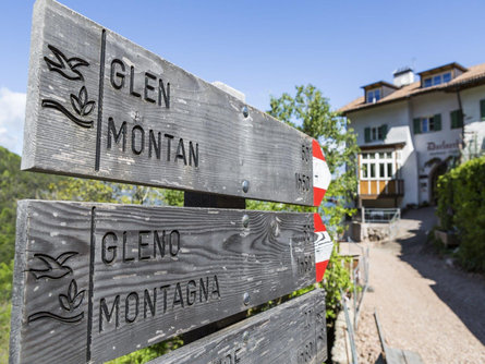 Mountain Inn Dorfner Montan/Montagna 5 suedtirol.info