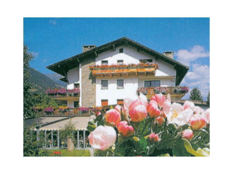 Bar Cafè Montana Prad am Stilfser Joch/Prato allo Stelvio 1 suedtirol.info