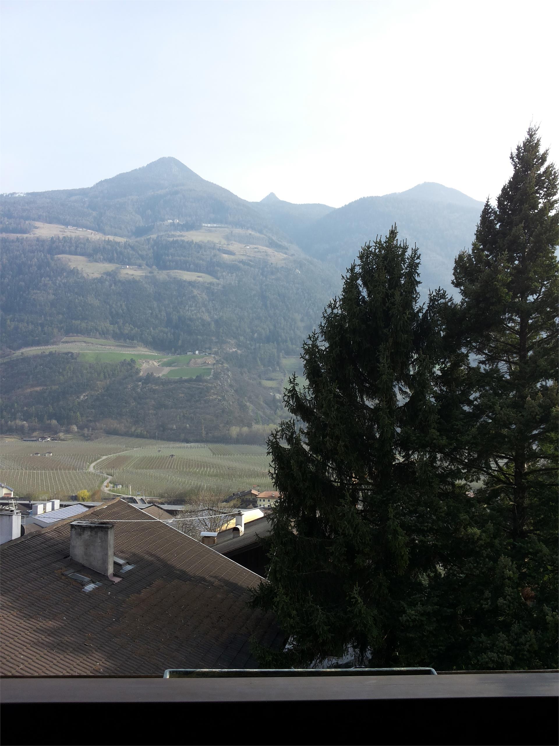 Bachguterhof Kastelbell-Tschars/Castelbello-Ciardes 18 suedtirol.info
