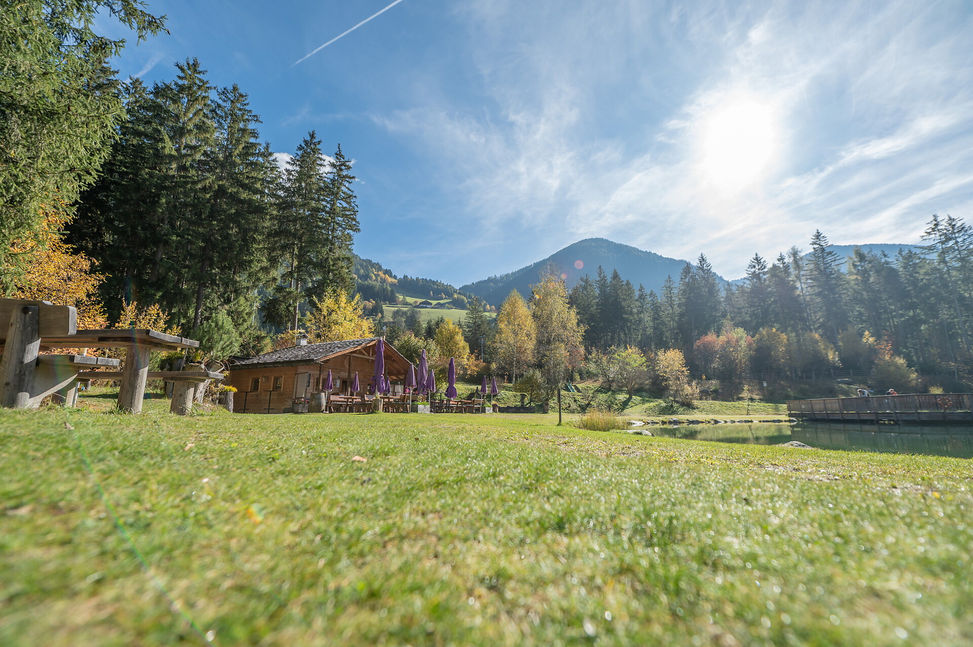 Bar vivaio Anterselva - Regione dolomitica Plan de Corones - #2 - suedtirol.info