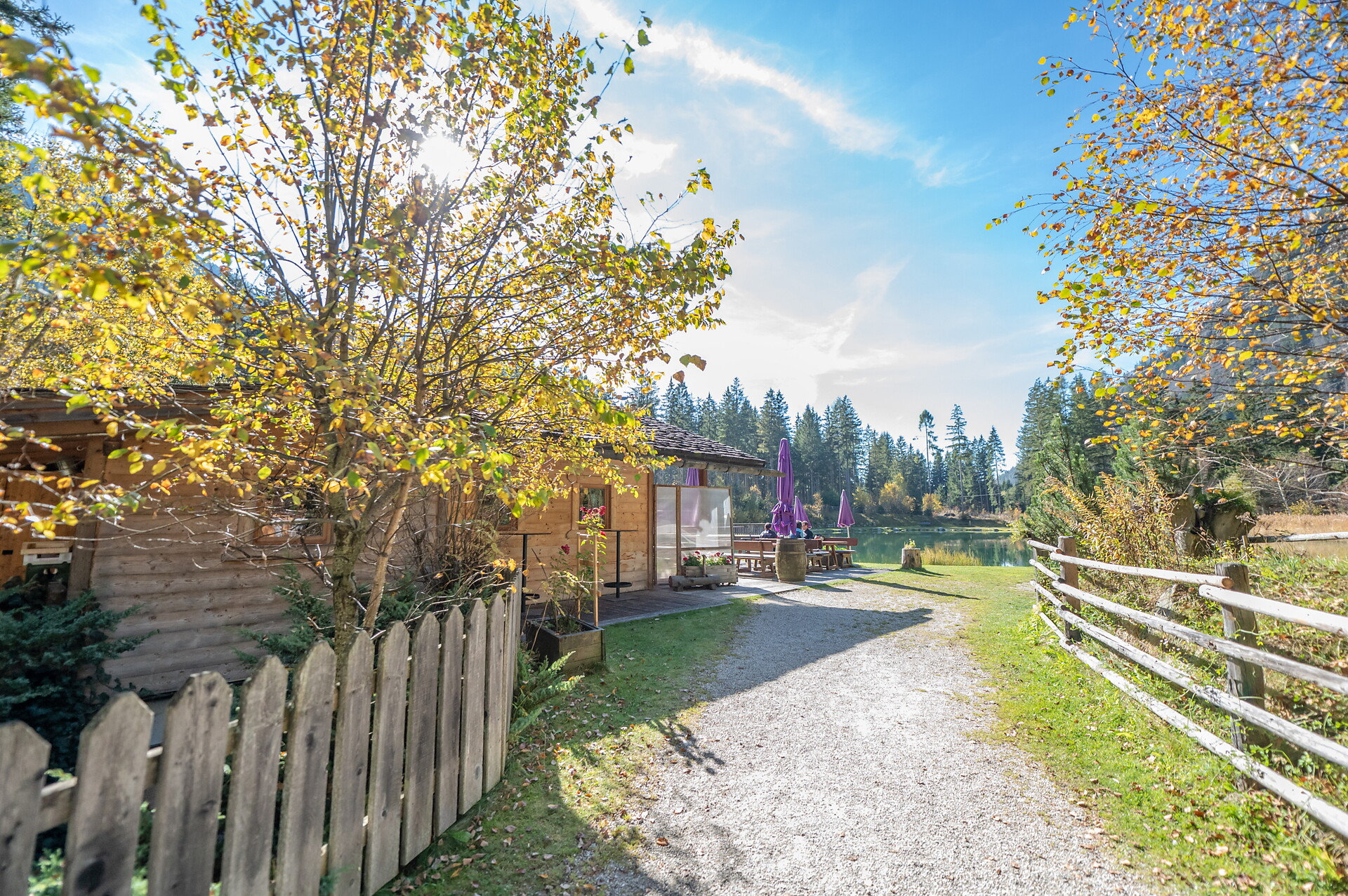 Bar vivaio Anterselva - Regione dolomitica Plan de Corones - #7 - suedtirol.info