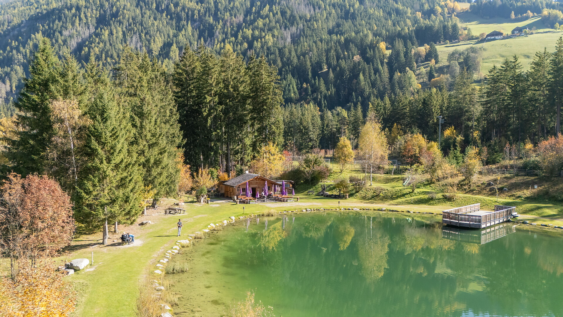 Bar vivaio Anterselva - Regione dolomitica Plan de Corones - #4 - suedtirol.info