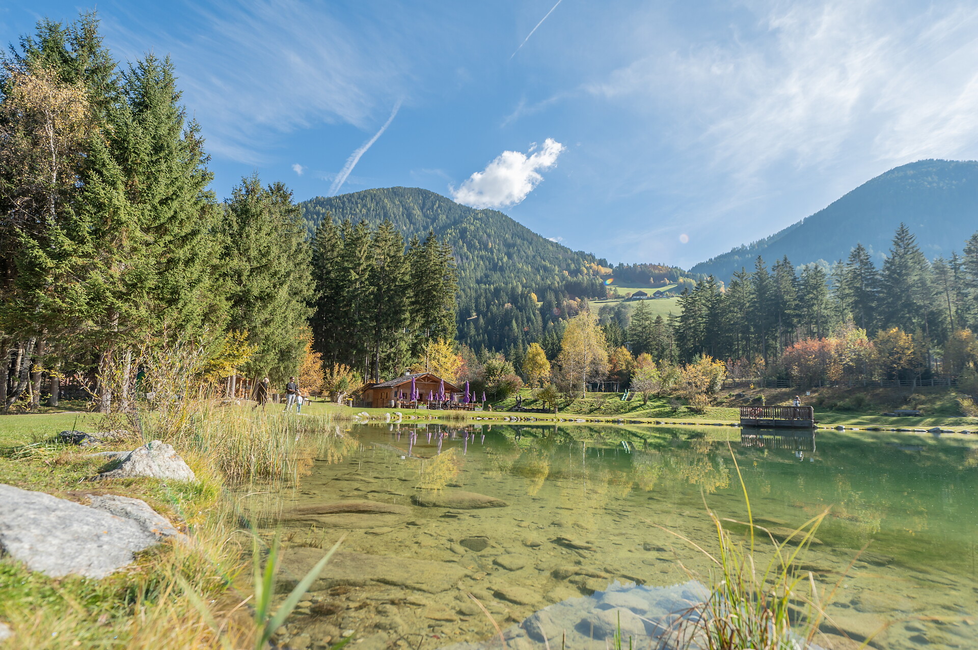 Bar vivaio Anterselva - Regione dolomitica Plan de Corones - #3 - suedtirol.info