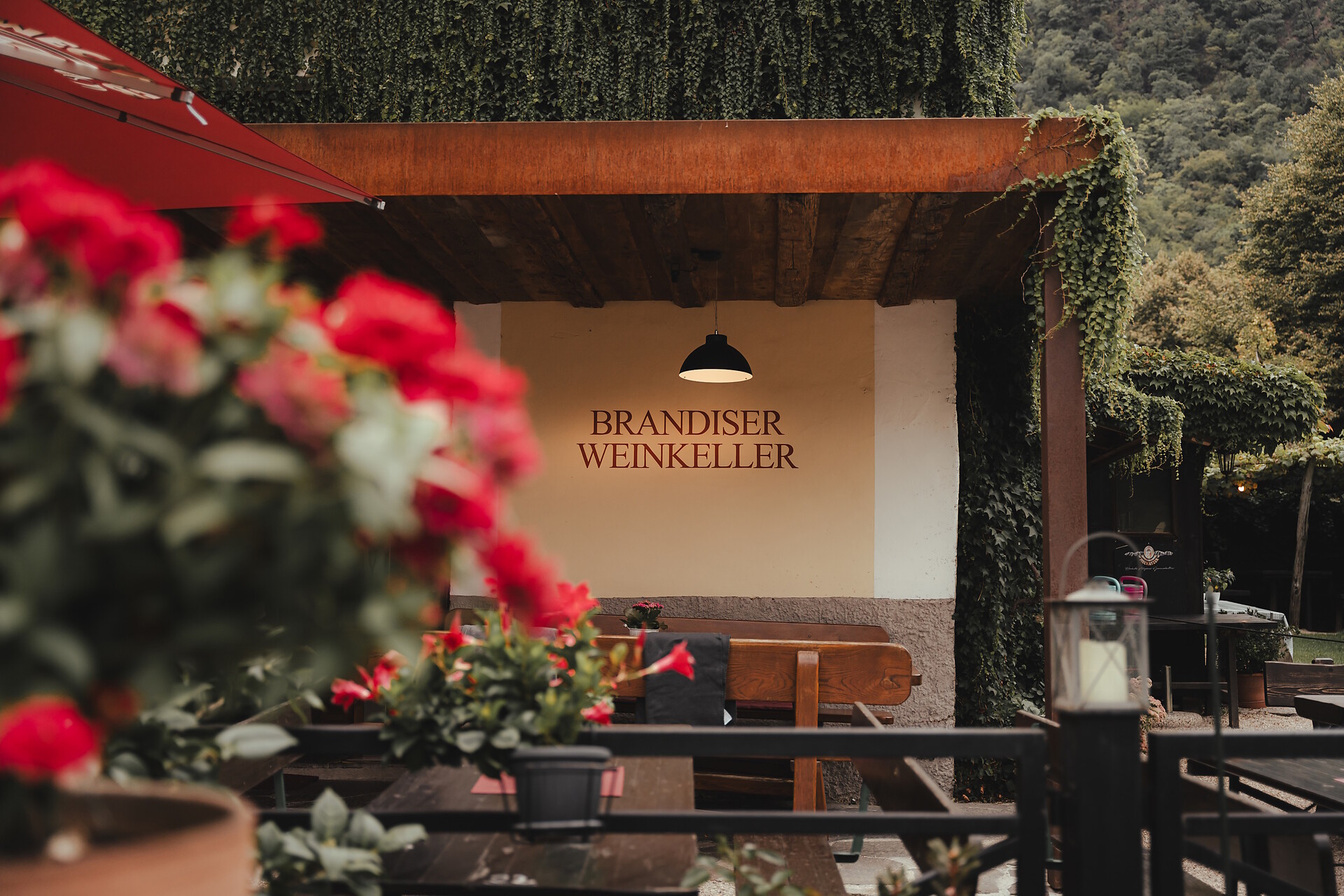 Brandiskeller
