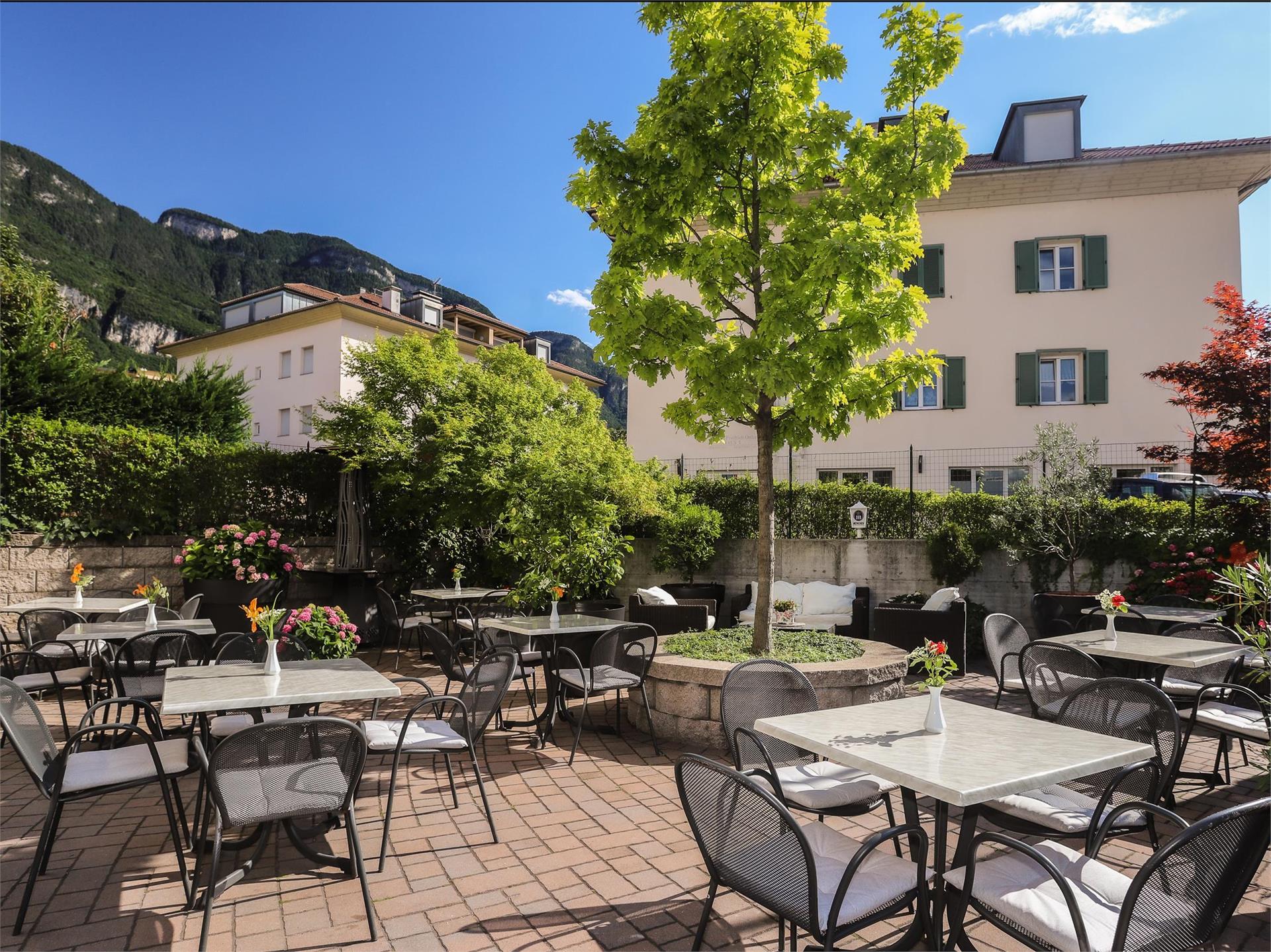 Bar Vaja Egna 3 suedtirol.info