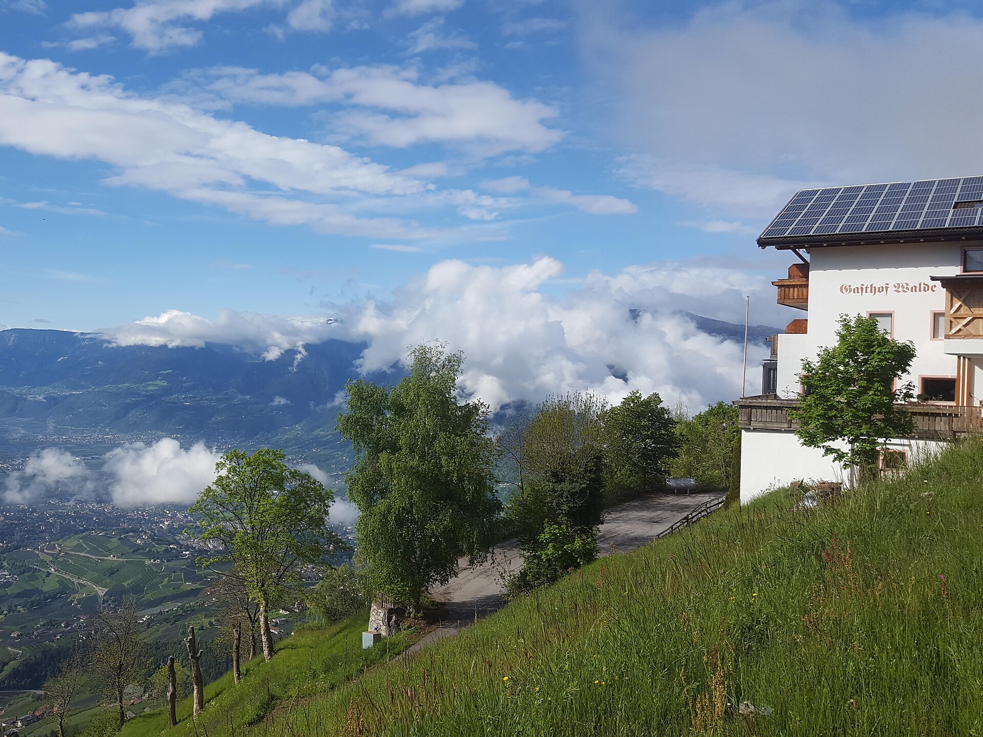 Alpine pasture Walde