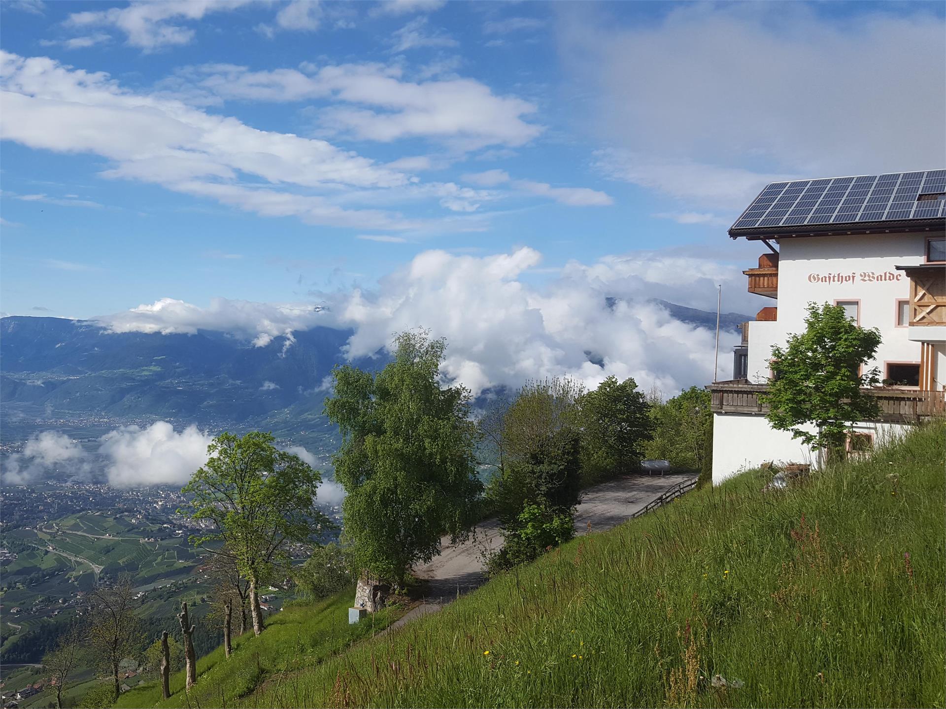 Mountain inn Walde Riffian/Rifiano 1 suedtirol.info