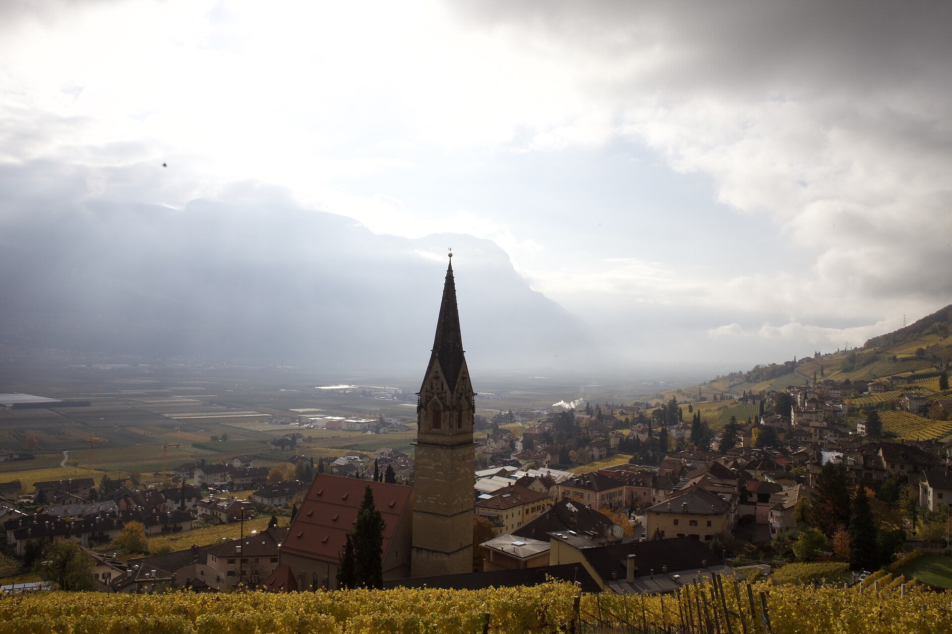 Tramin