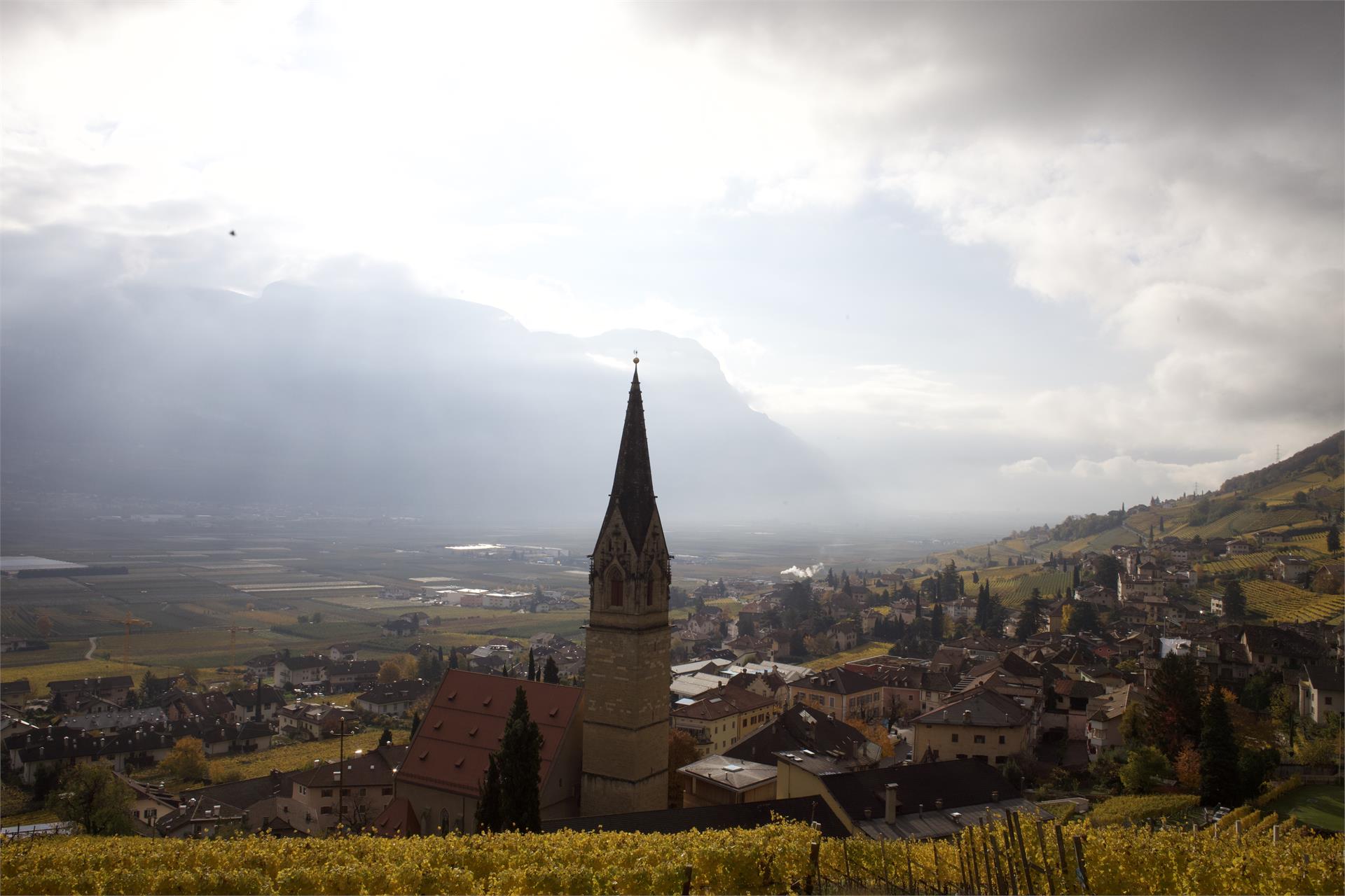 Locale tipico agrituristico Gamper Termeno sulla Strada del Vino 3 suedtirol.info