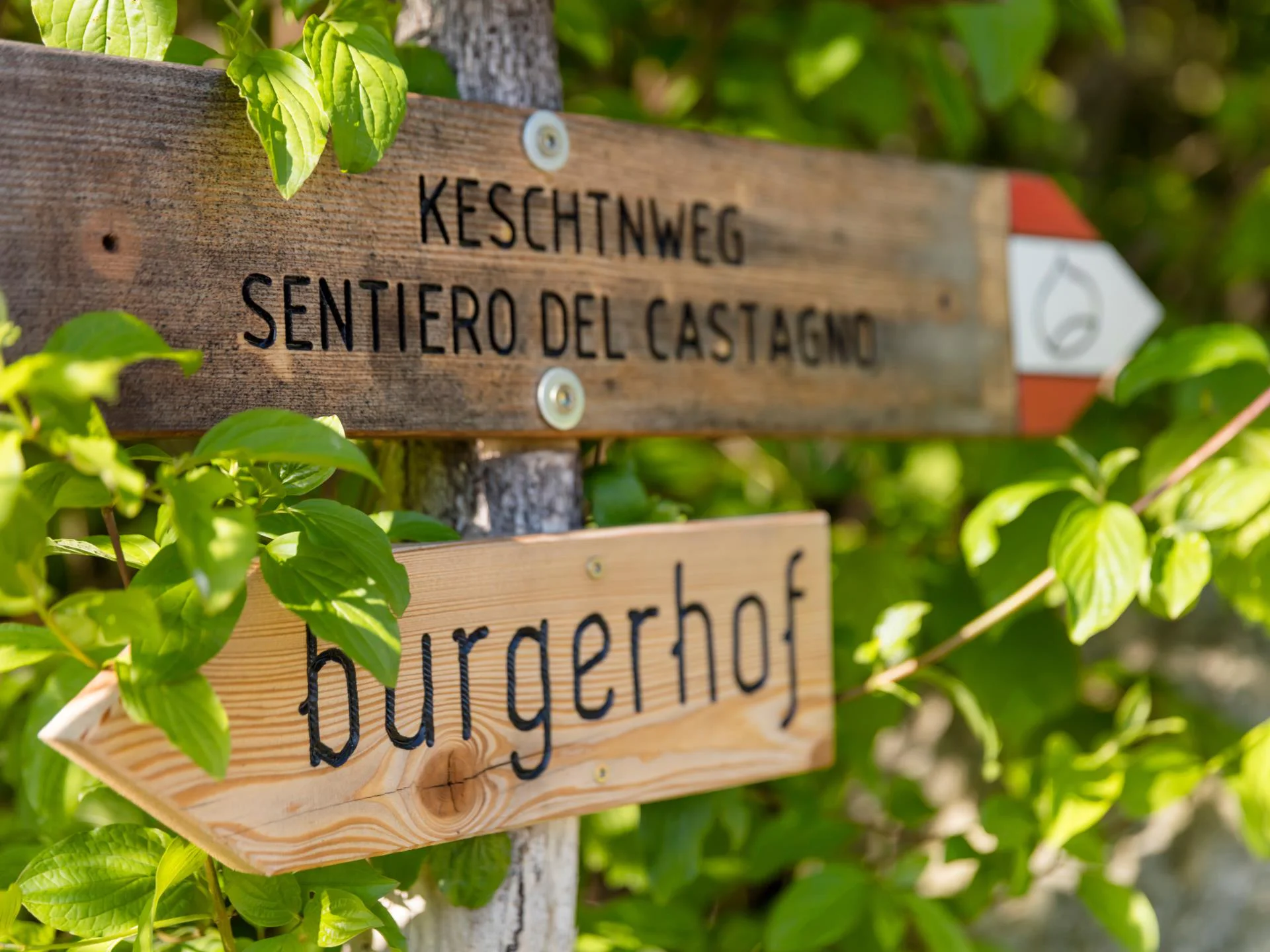 Burgerhof Bressanone 3 suedtirol.info