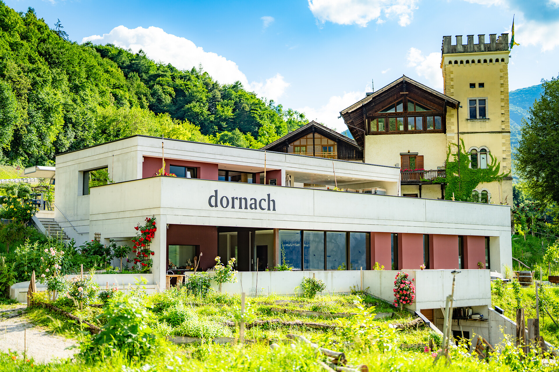 Bio Buschenschank Dornach - Südtiroler Weinstraße - #4 - suedtirol.info