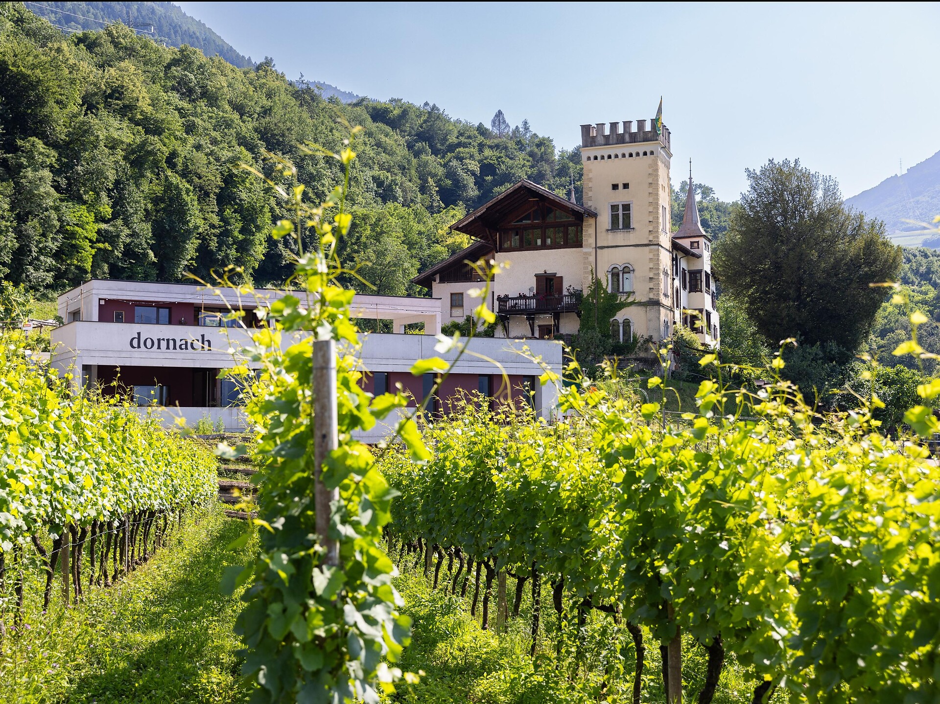 Osteria Contadina biologica Dornach - Strada del Vino - #1 - suedtirol.info