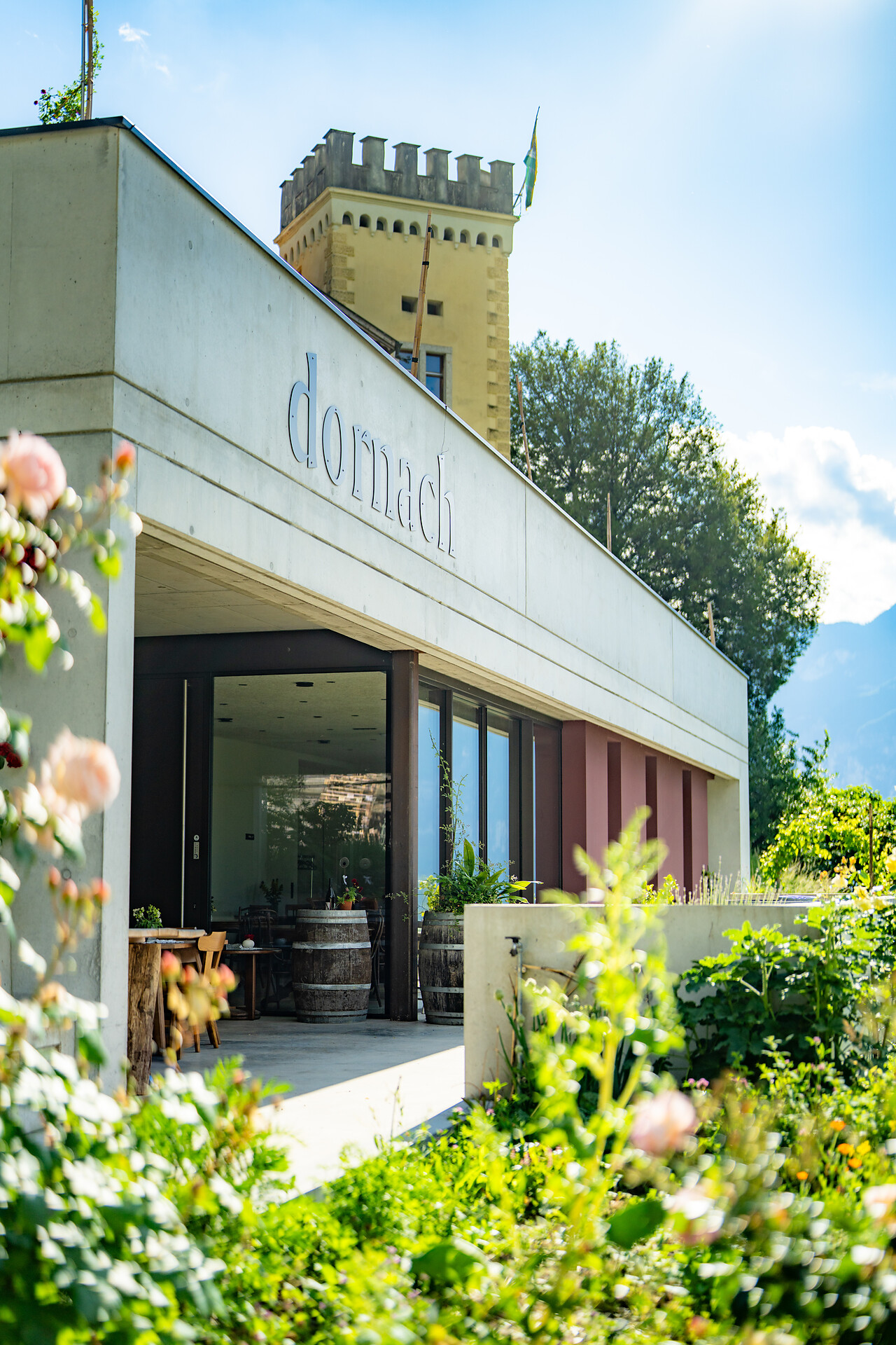 Bio Buschenschank Dornach - Südtiroler Weinstraße - #11 - suedtirol.info
