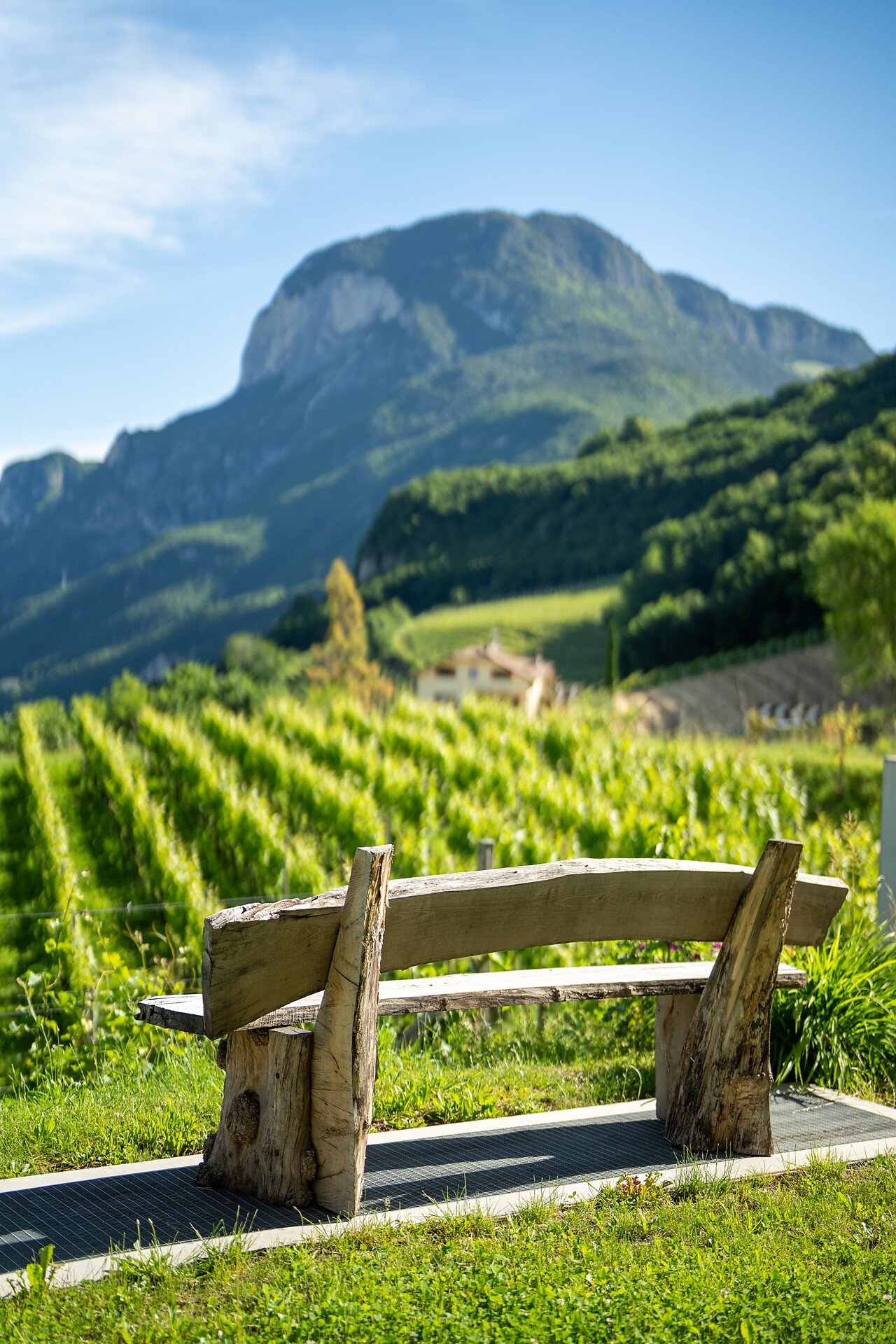 Bio Buschenschank Dornach - Südtiroler Weinstraße - #10 - suedtirol.info