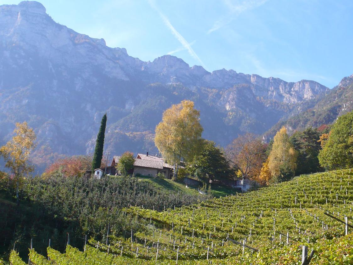 Berggasthof Gummererhof Tramin an der Weinstraße 1 suedtirol.info