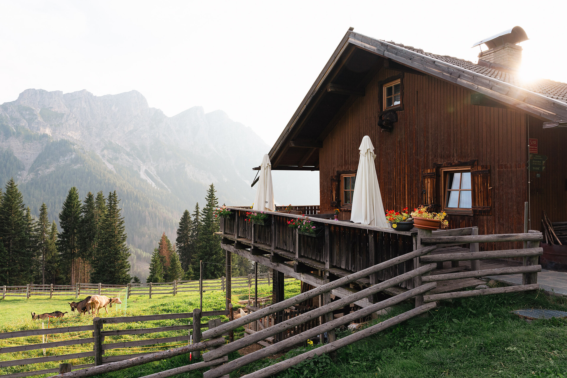 Brunst Alm - Dolomitenregion Kronplatz - #2 - suedtirol.info