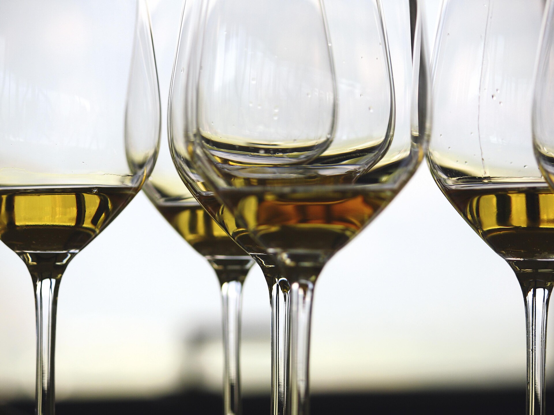 Wine